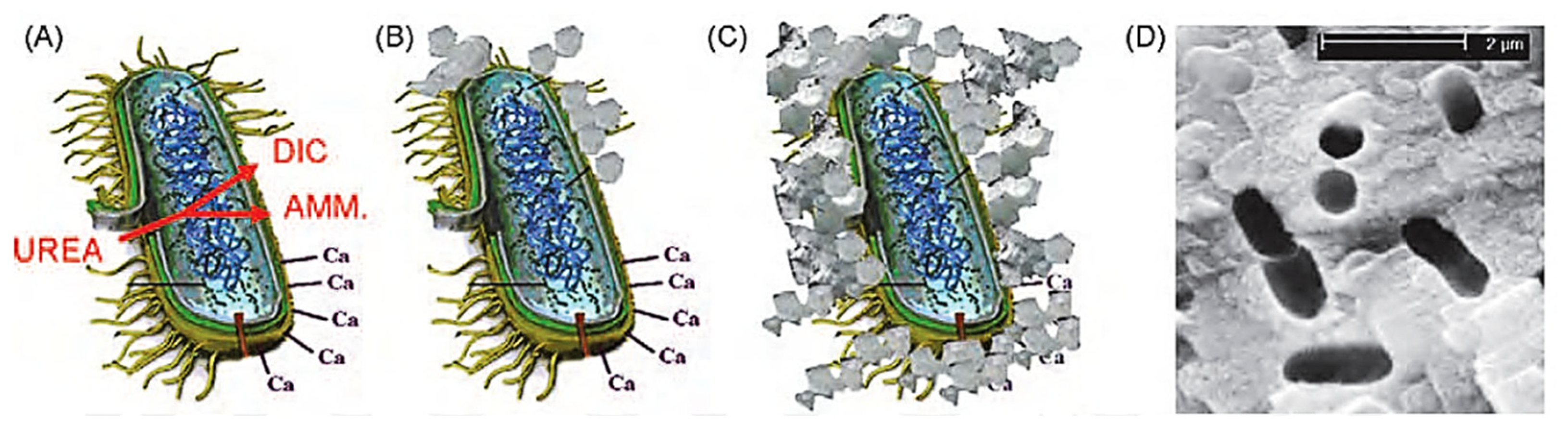 Materials 14 05369 g002