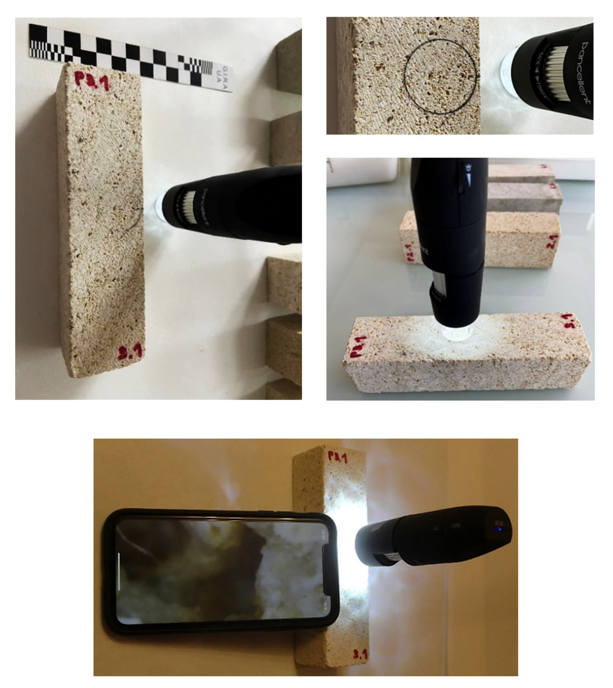 Materials 14 05369 g008