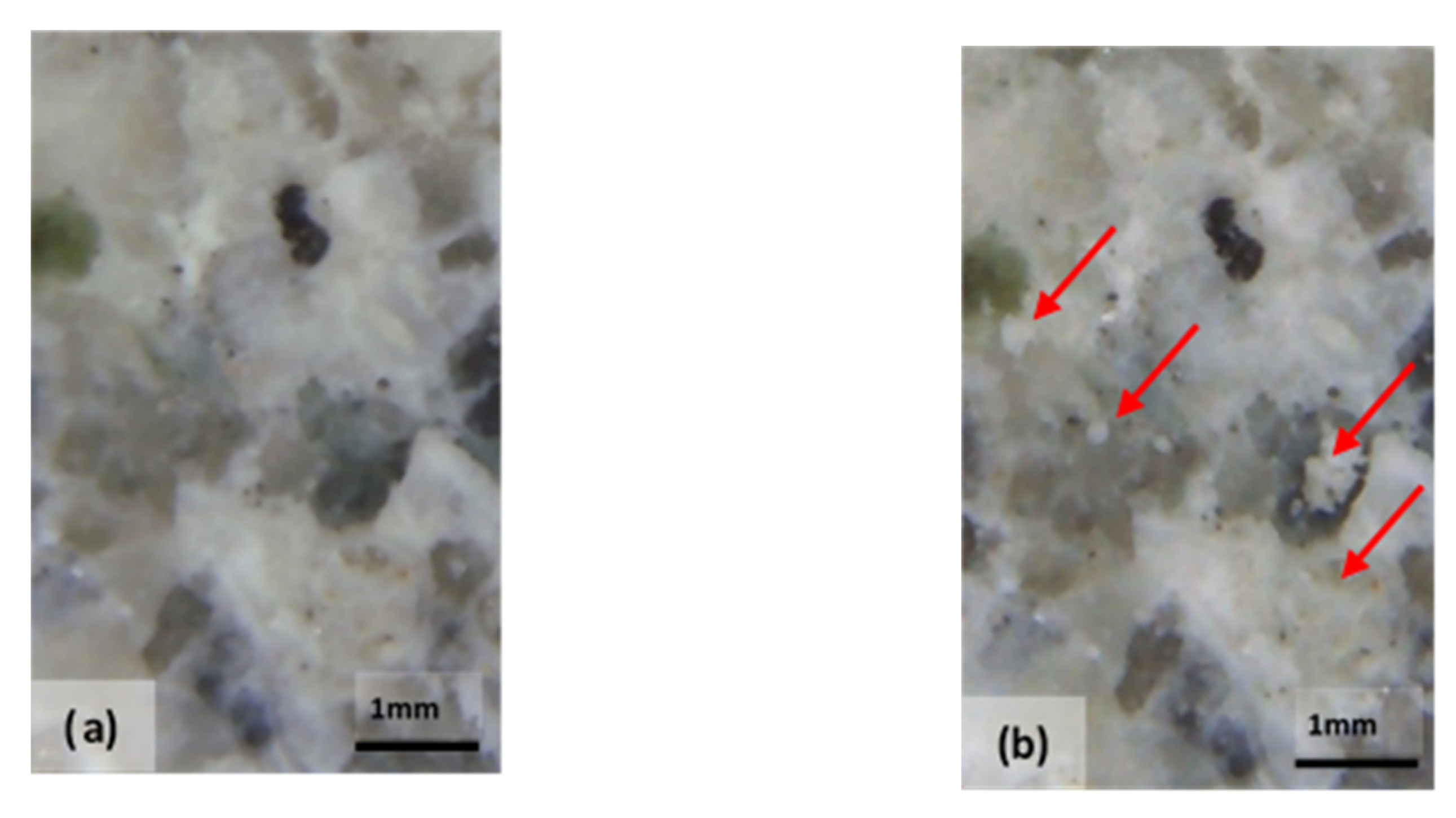 Materials 14 05369 g009