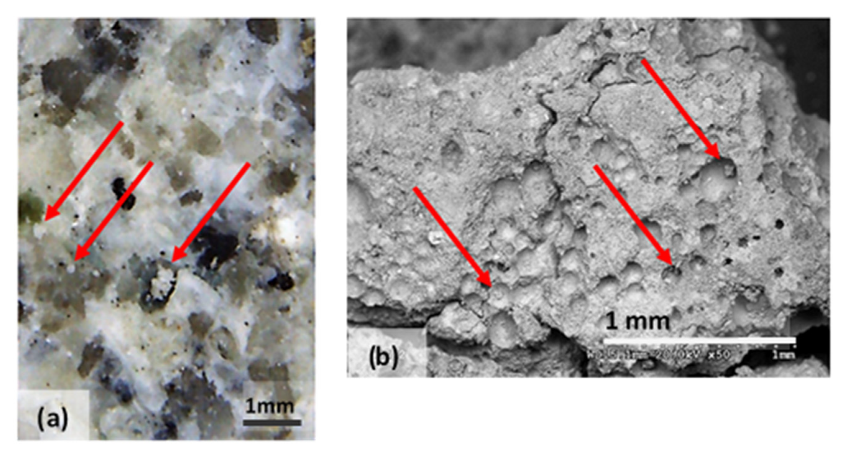 Materials 14 05369 g011