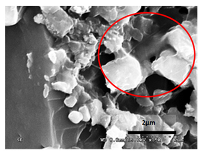 Materials 14 05369 i004