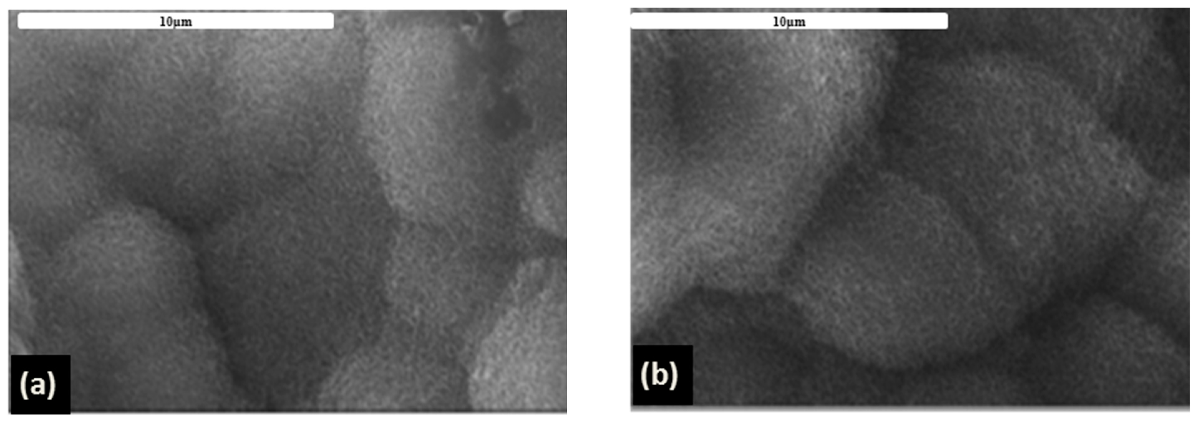 Materials 14 05391 g003
