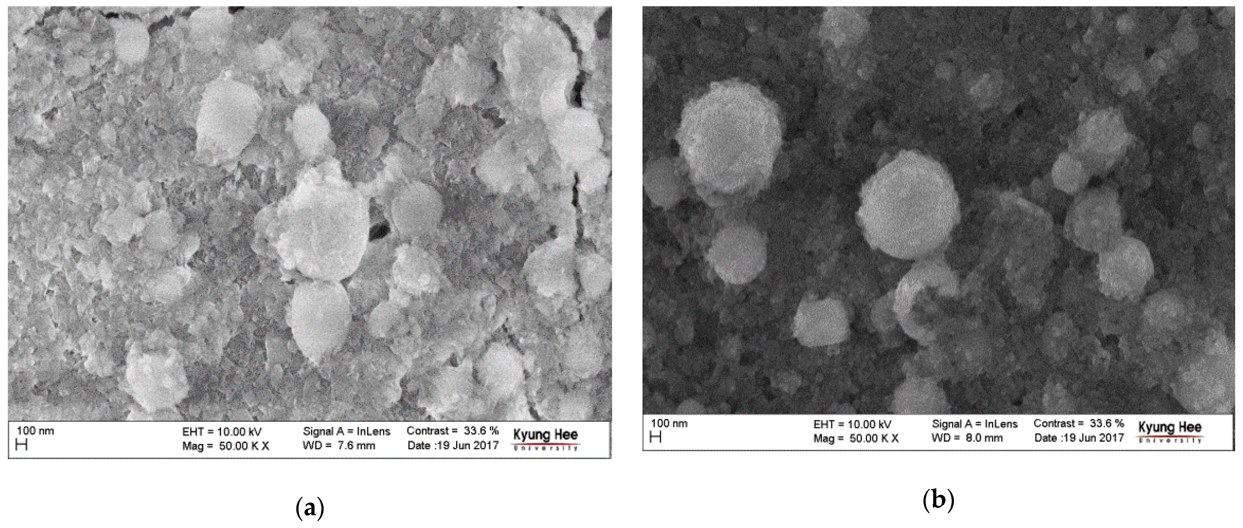 Materials 14 05391 g006