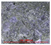 Materials 14 05407 i006 Materials 14 05407 i006