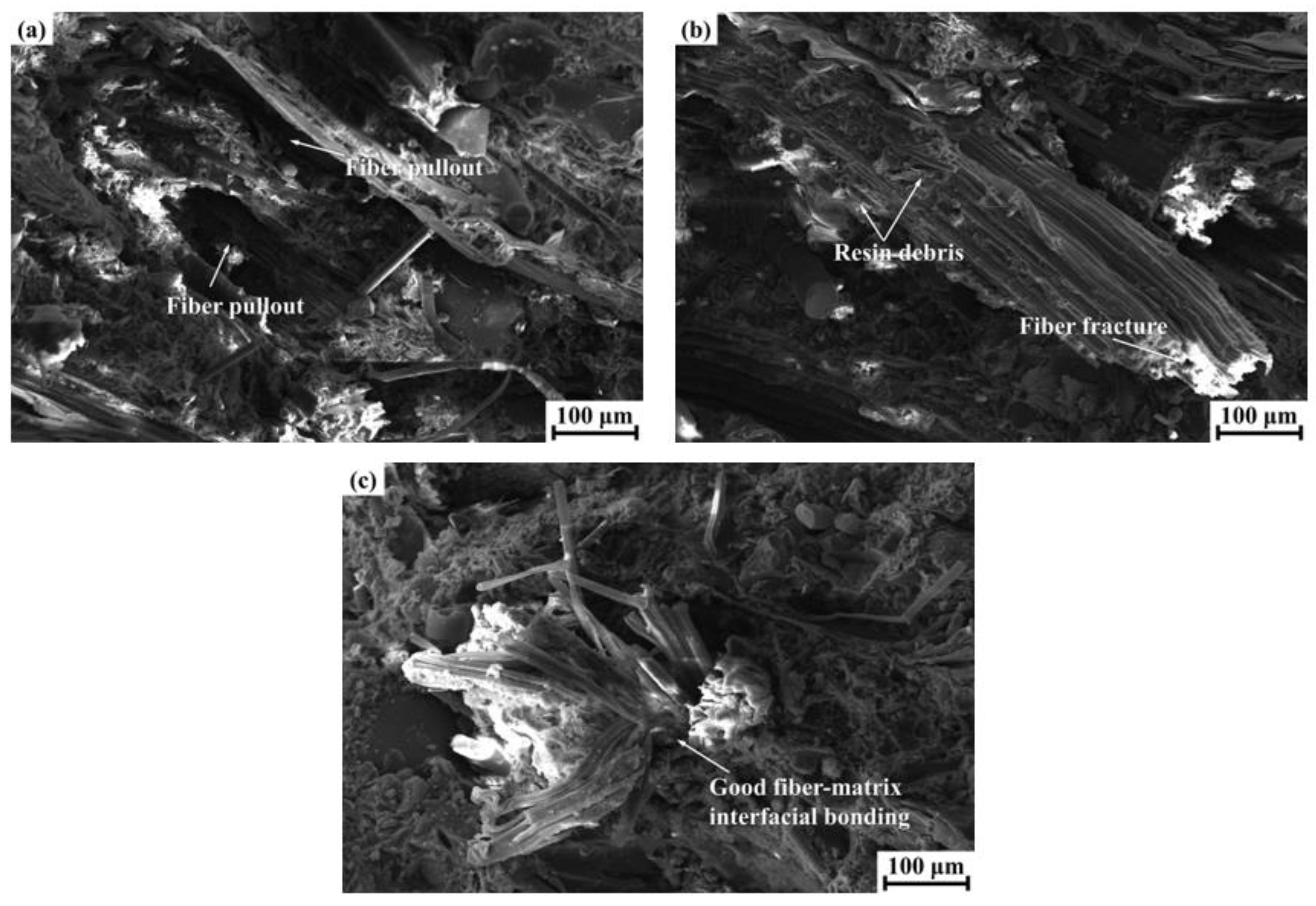 Materials 14 05410 g004