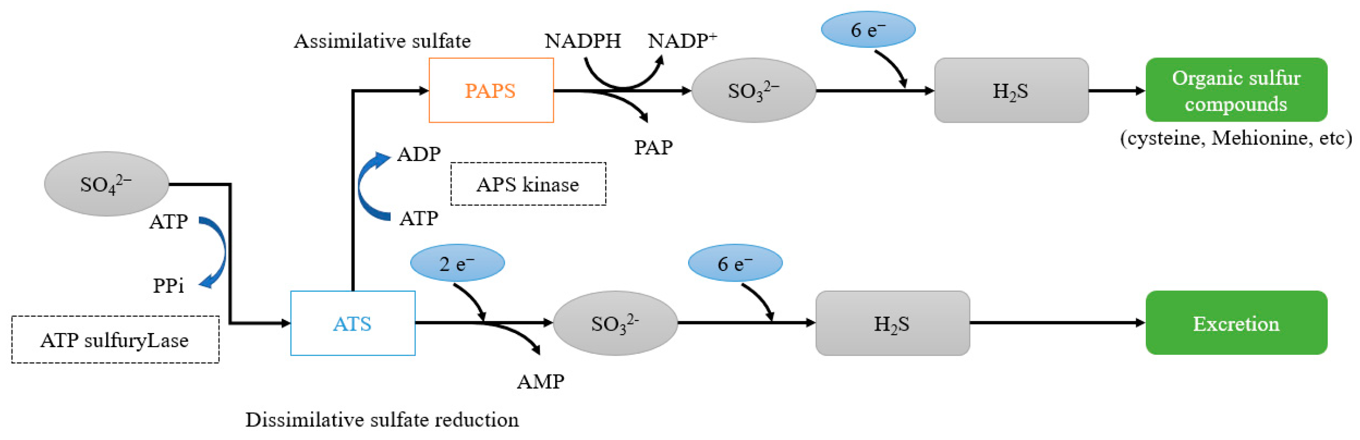 Materials 14 05424 g001