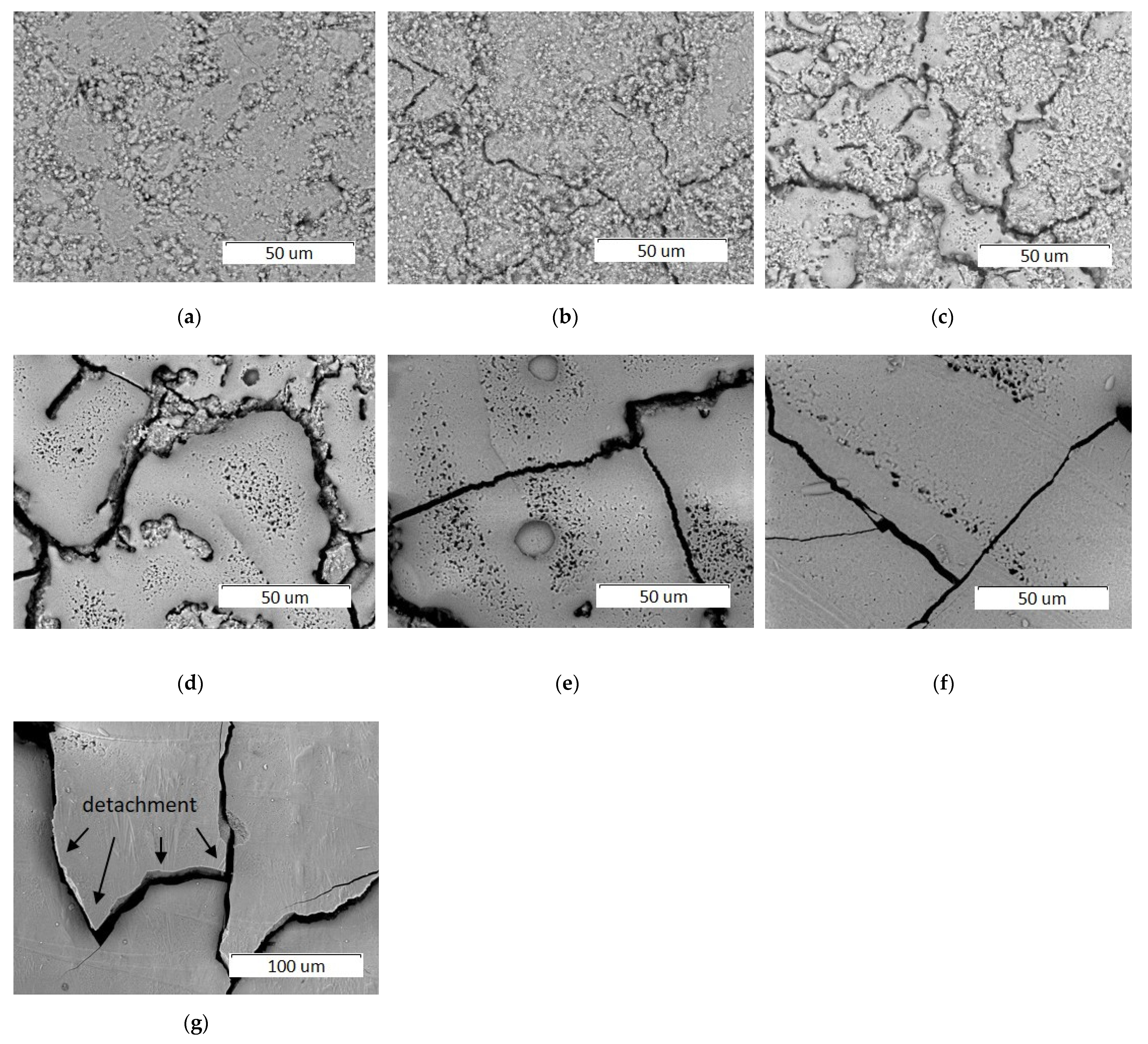 Materials 14 05425 g005
