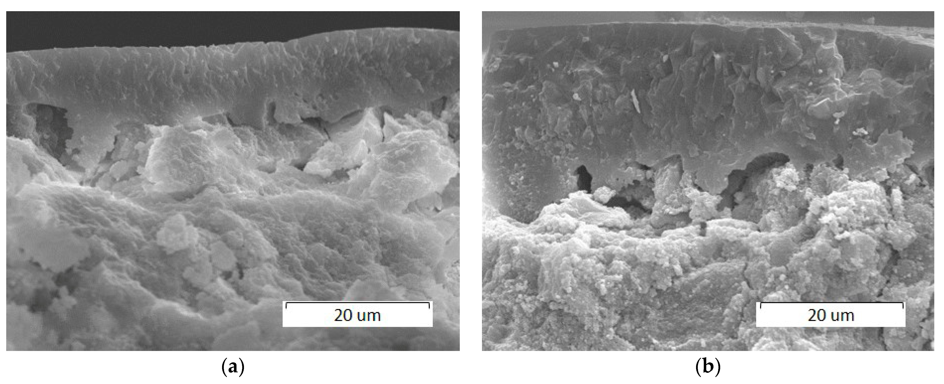 Materials 14 05425 g006