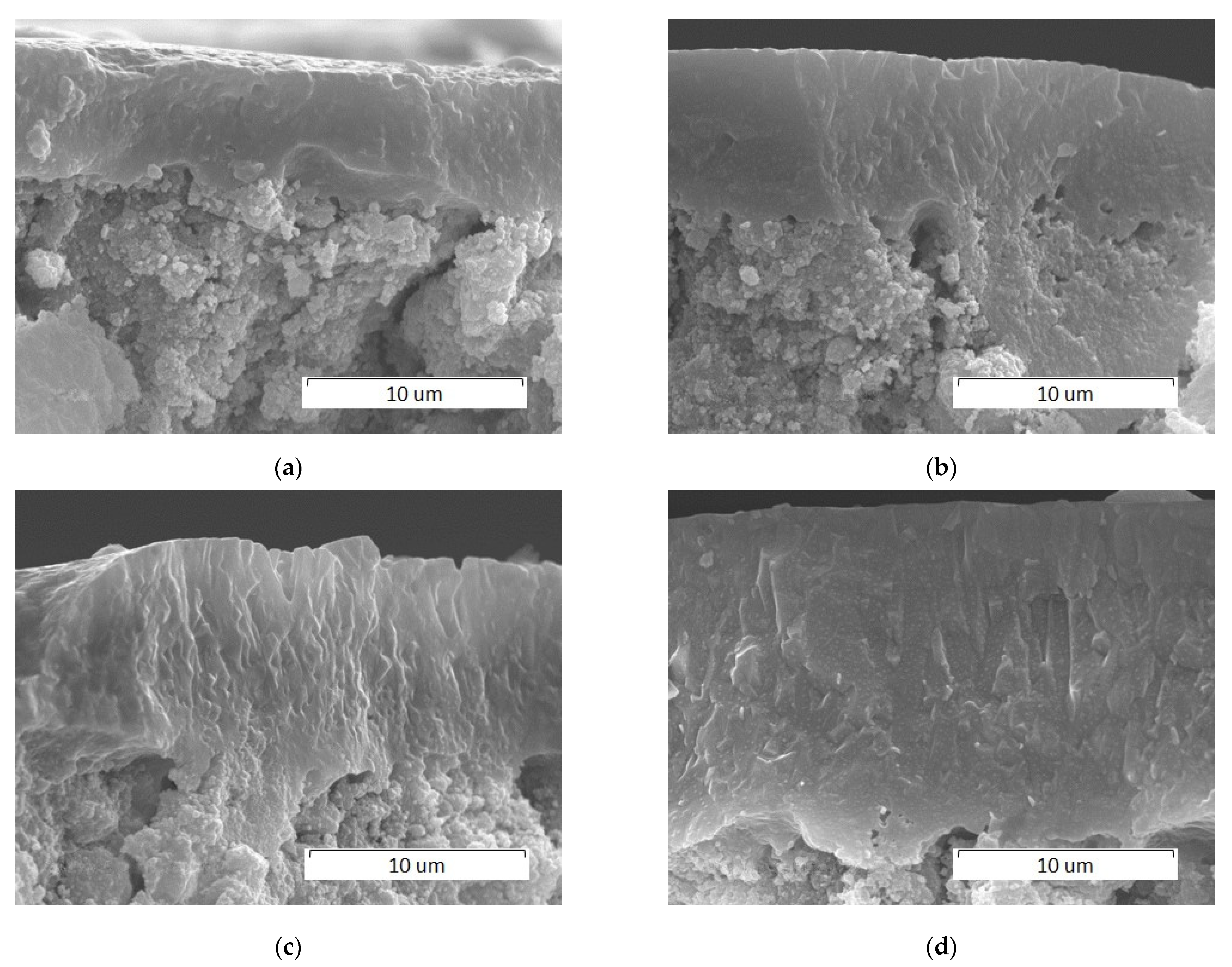 Materials 14 05425 g010