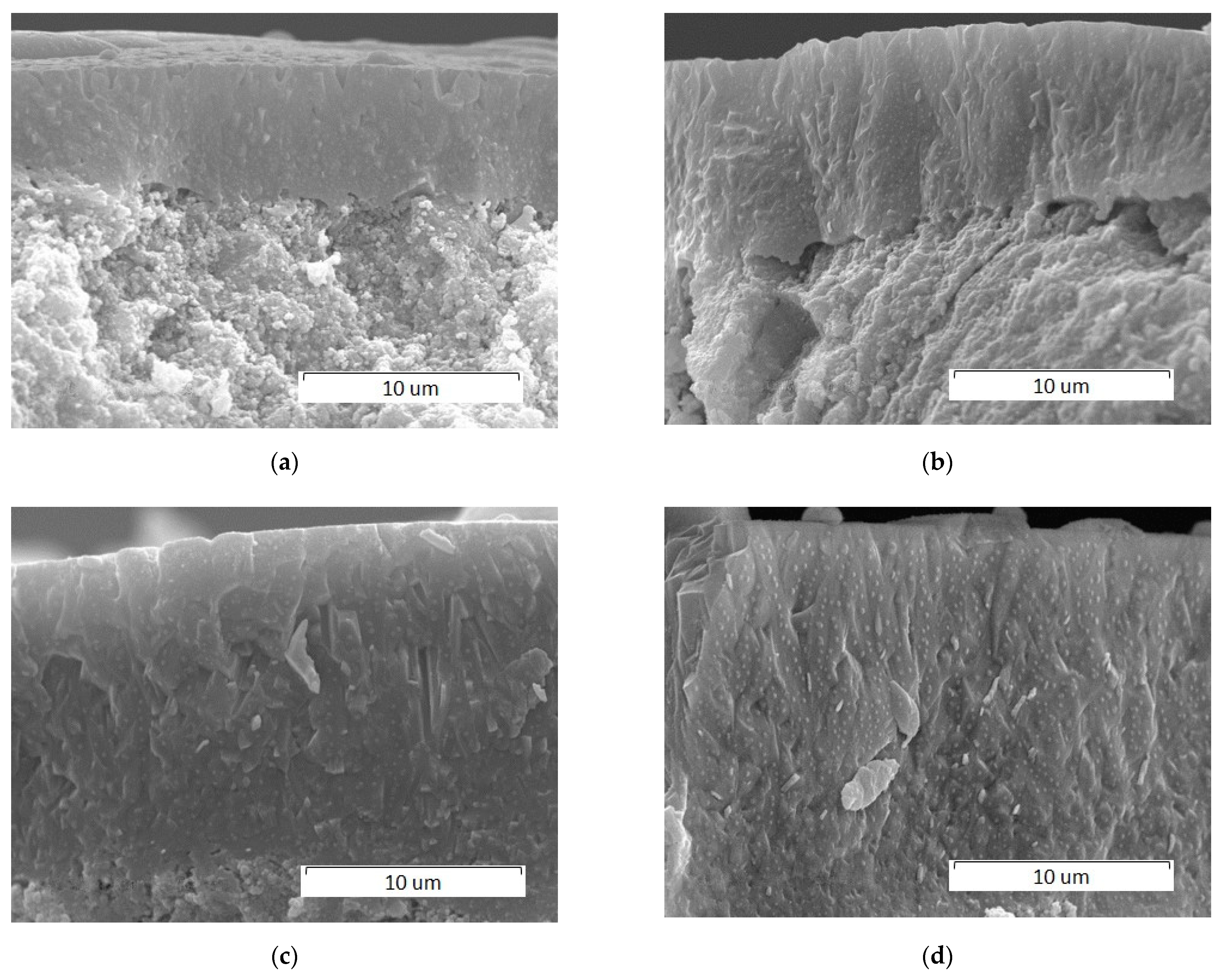 Materials 14 05425 g011