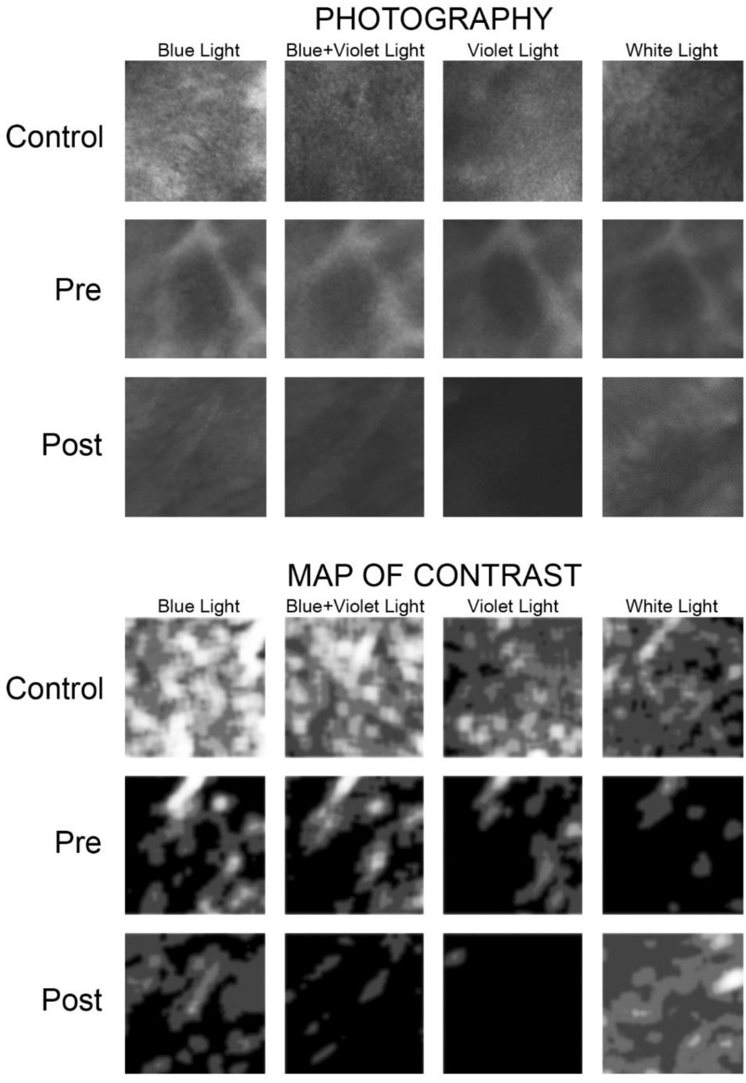 Materials 14 05448 g006