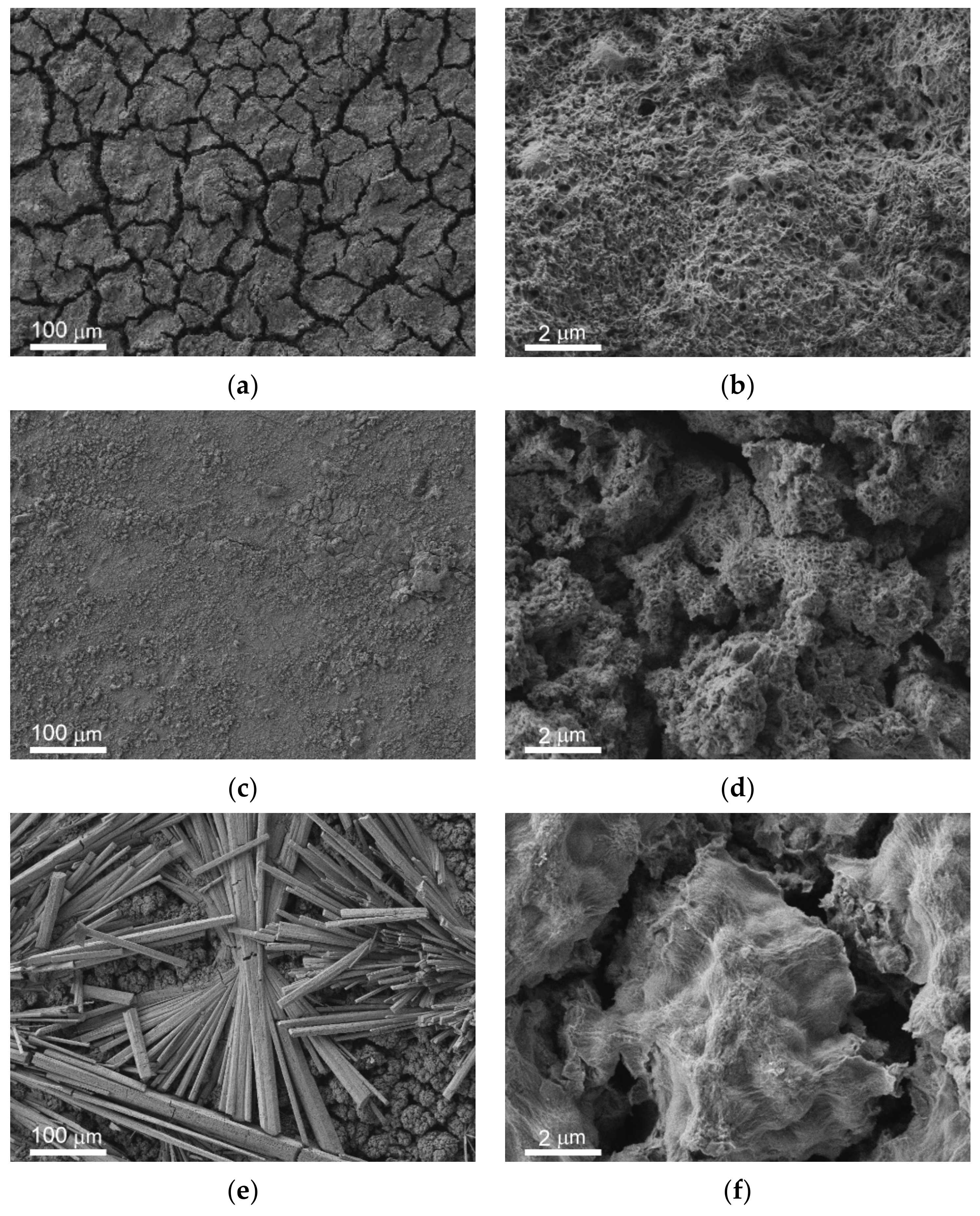 Materials 14 05454 g002a Materials 14 05454 g002a