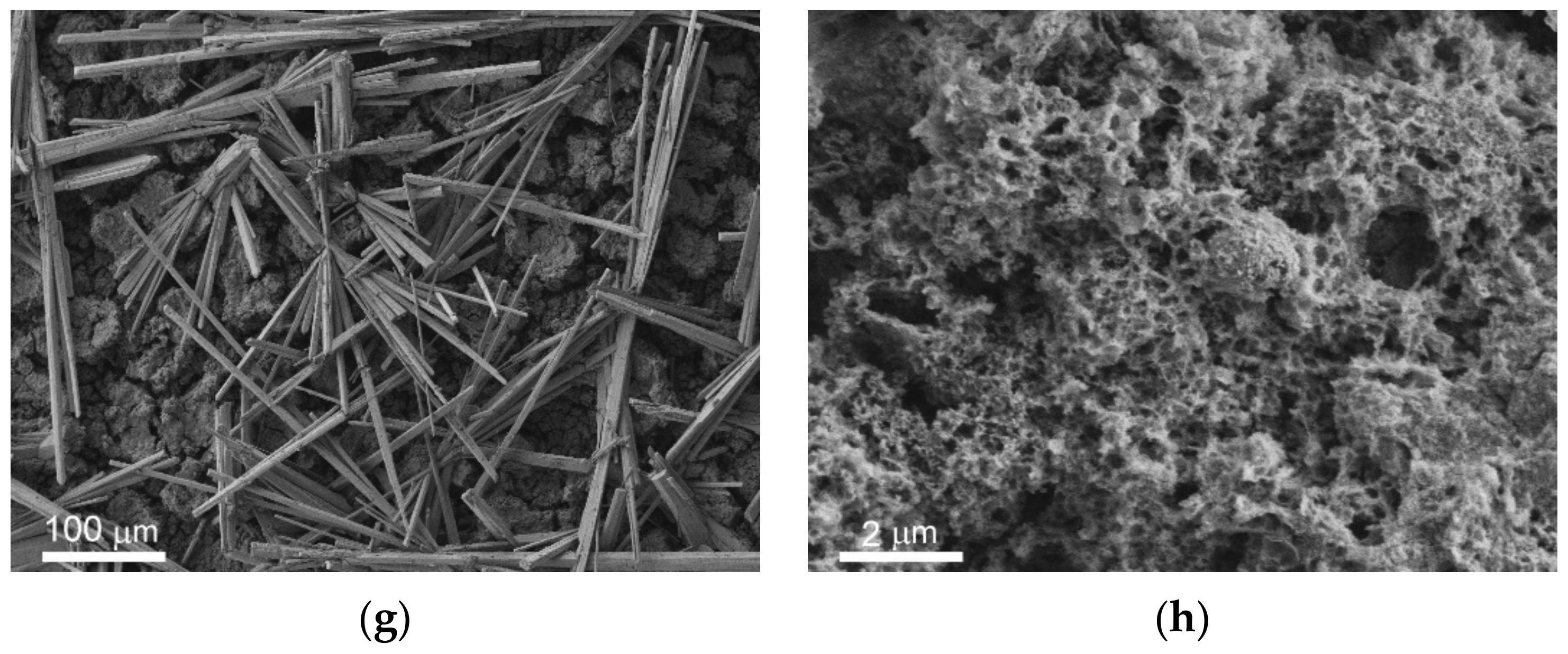 Materials 14 05454 g002b Materials 14 05454 g002b