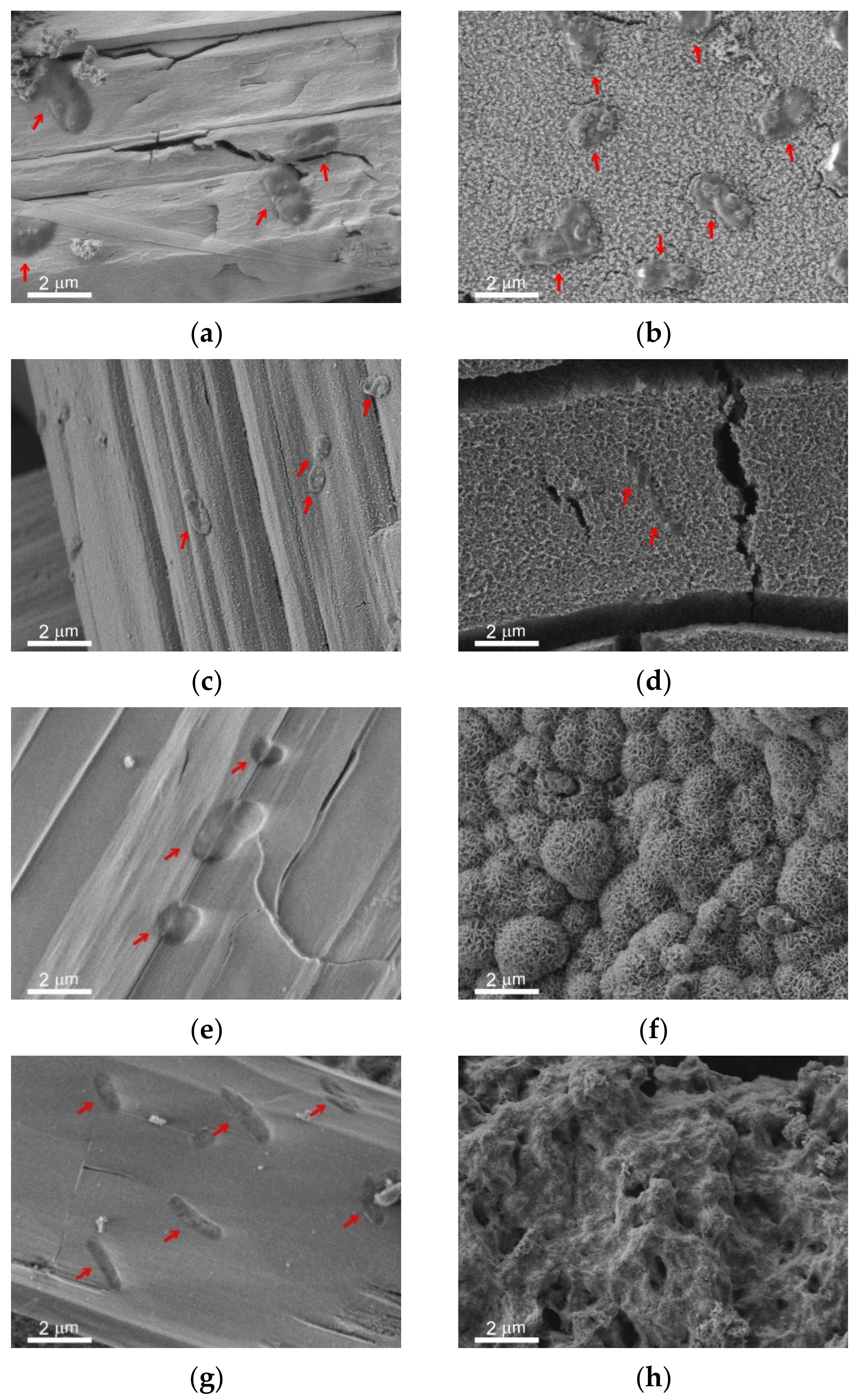 Materials 14 05454 g006a Materials 14 05454 g006a