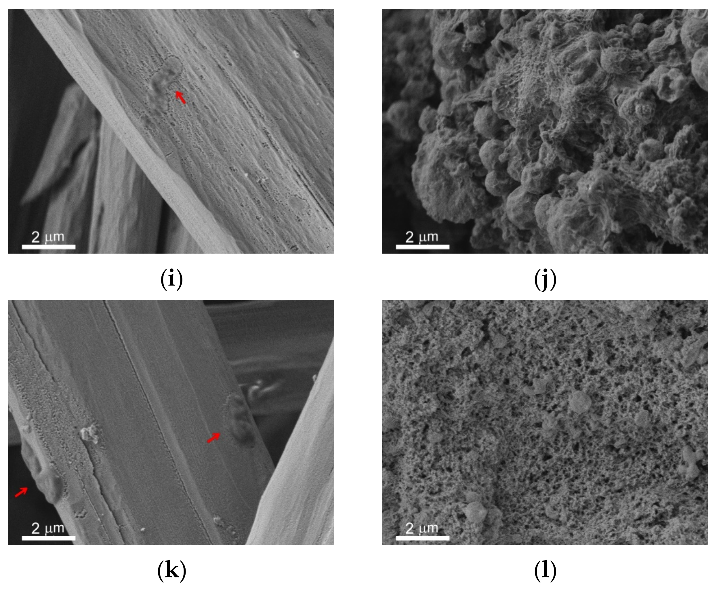 Materials 14 05454 g006b Materials 14 05454 g006b