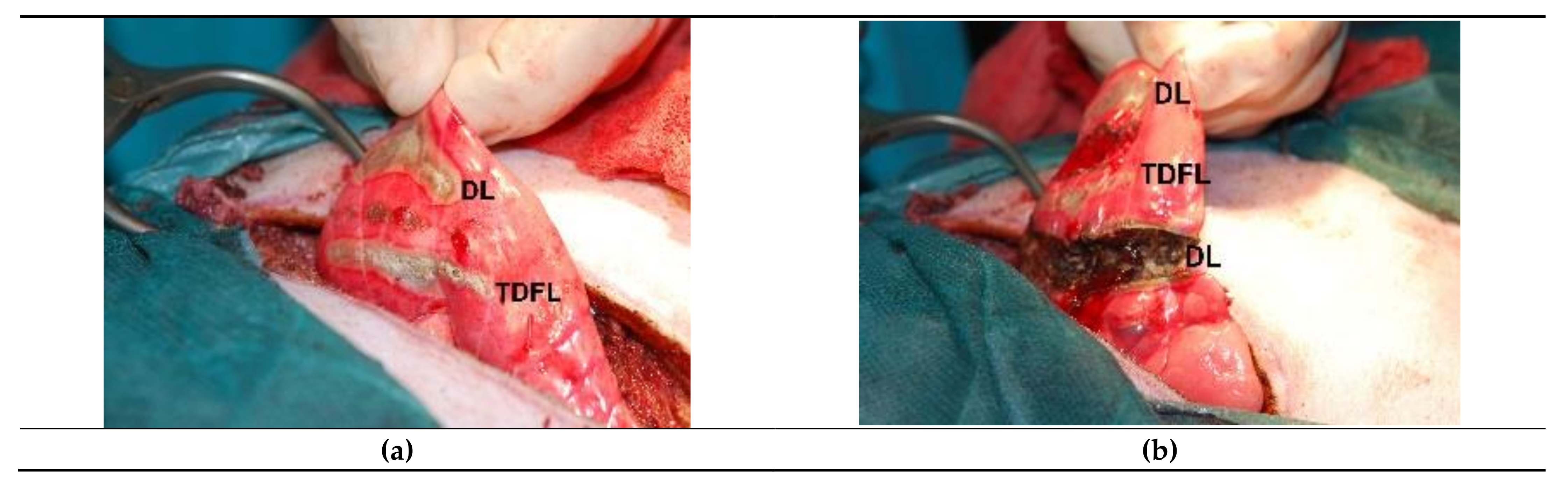 Materials 14 05457 g001