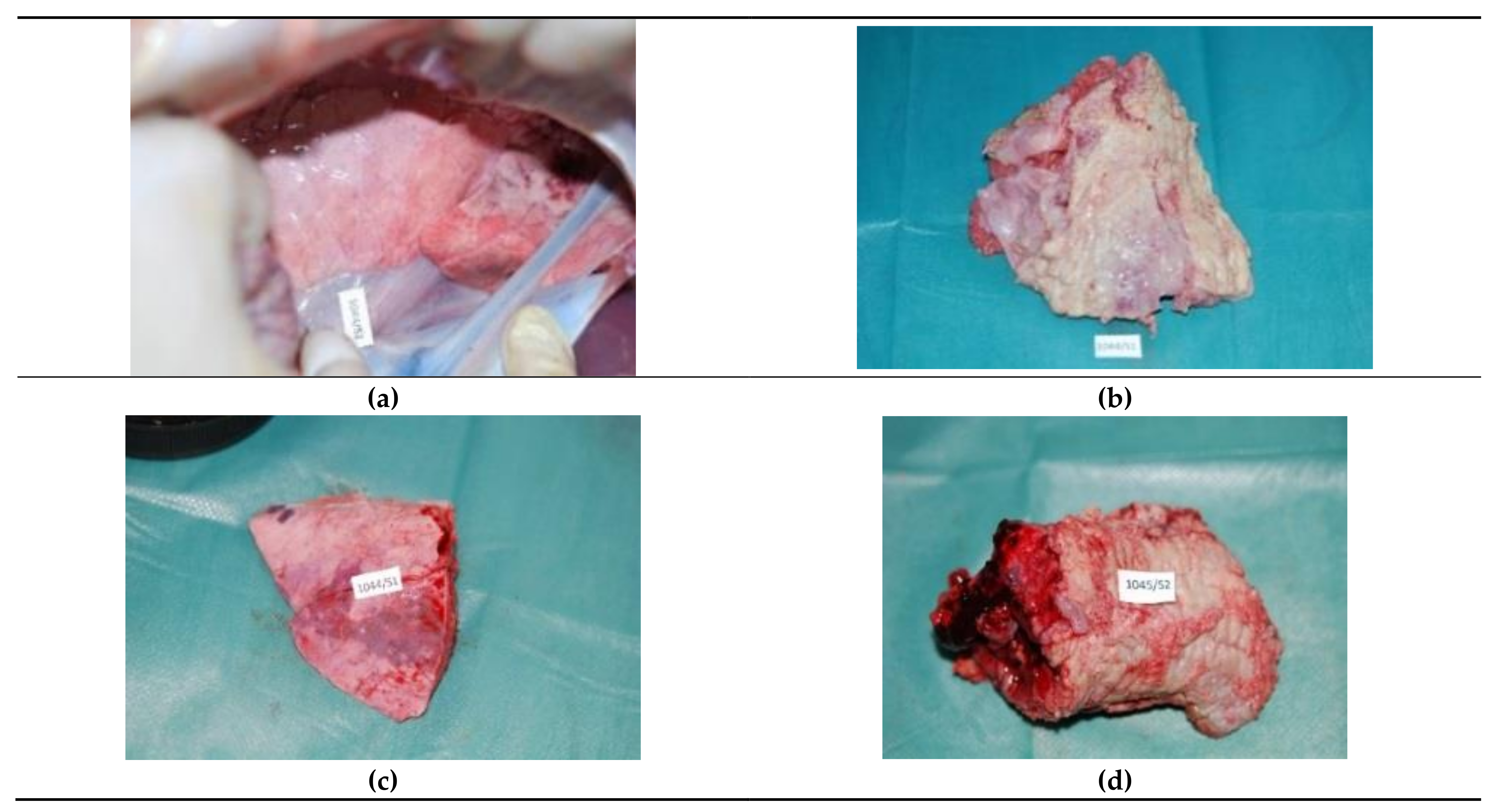 Materials 14 05457 g002