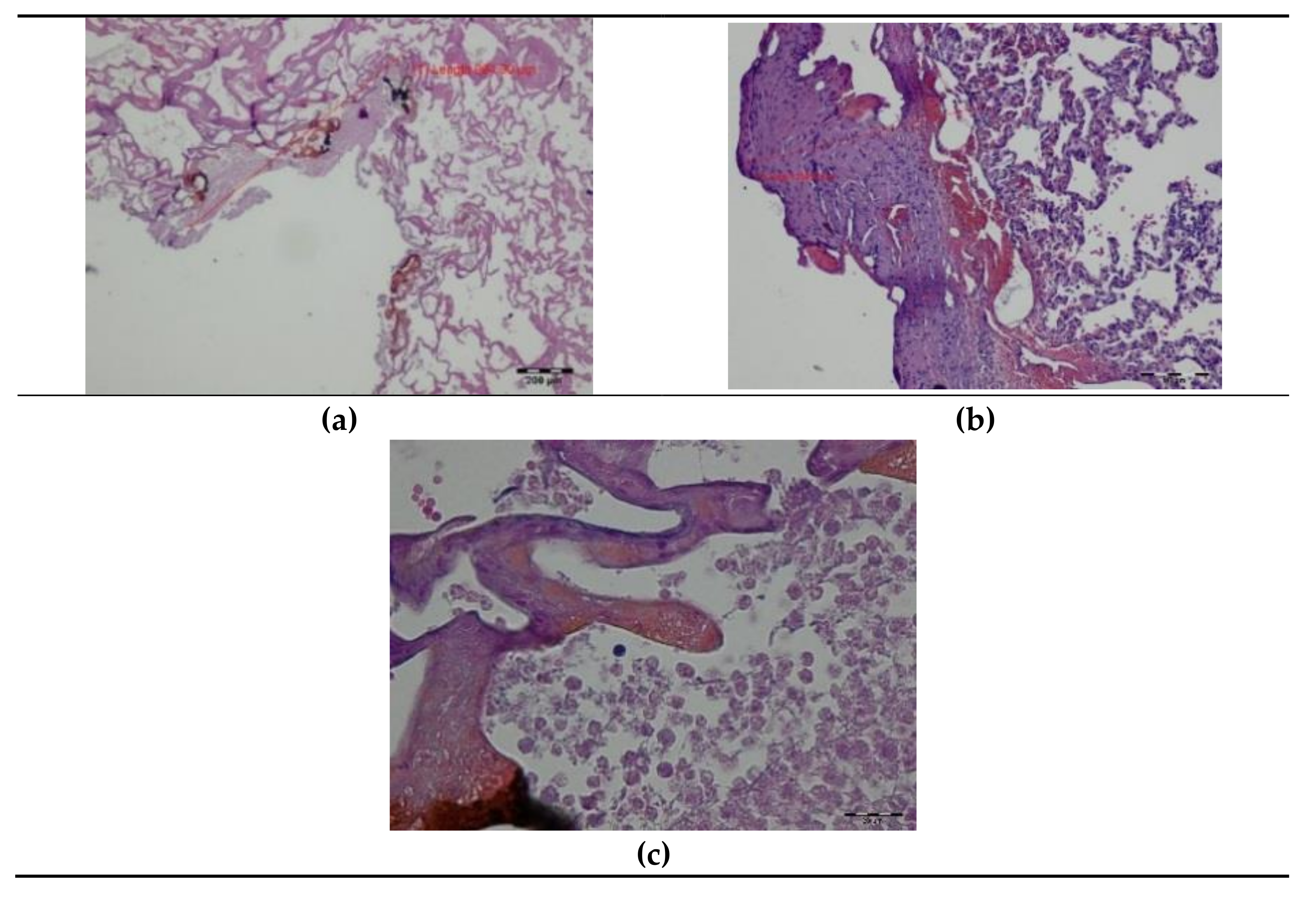 Materials 14 05457 g003