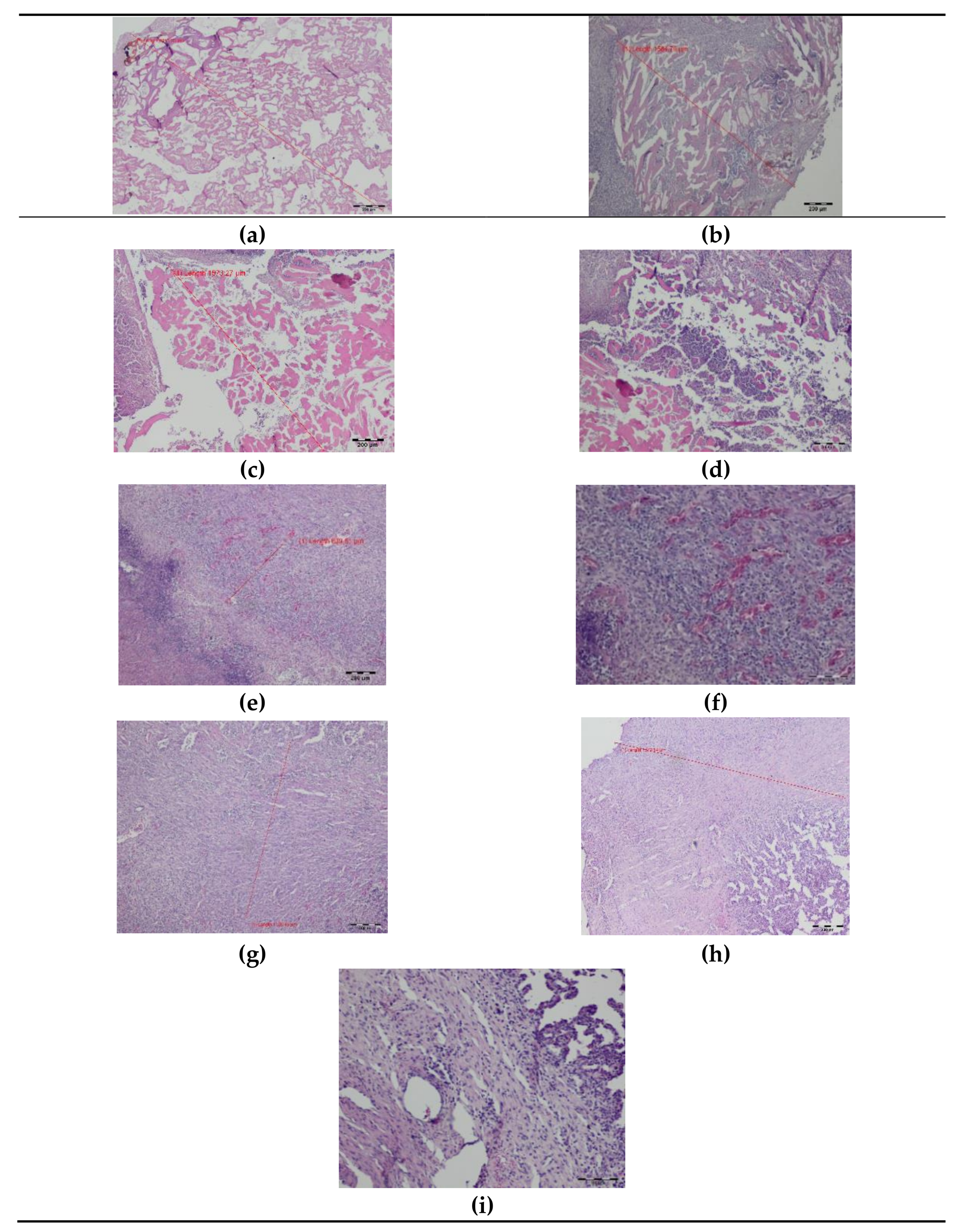 Materials 14 05457 g004