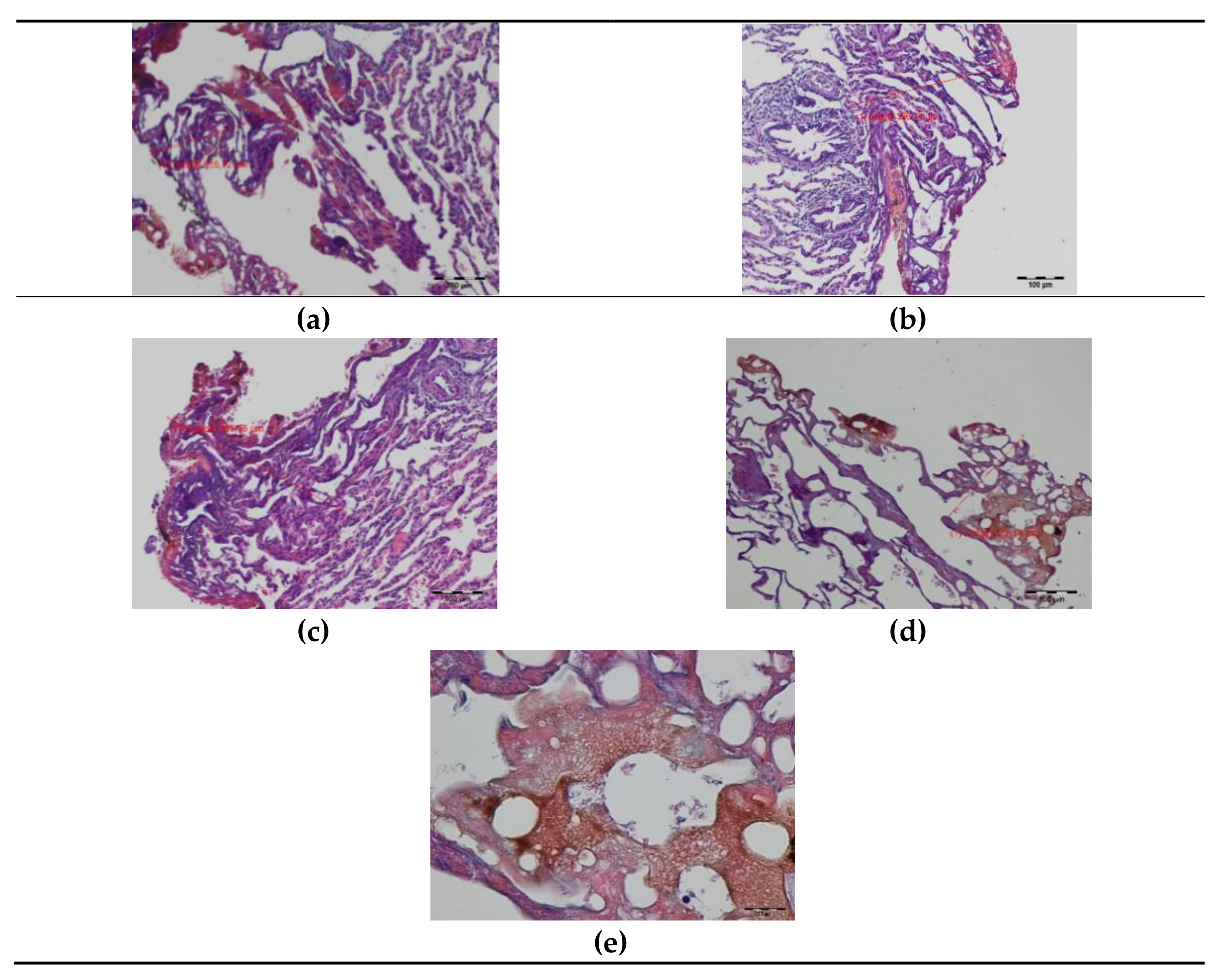 Materials 14 05457 g005