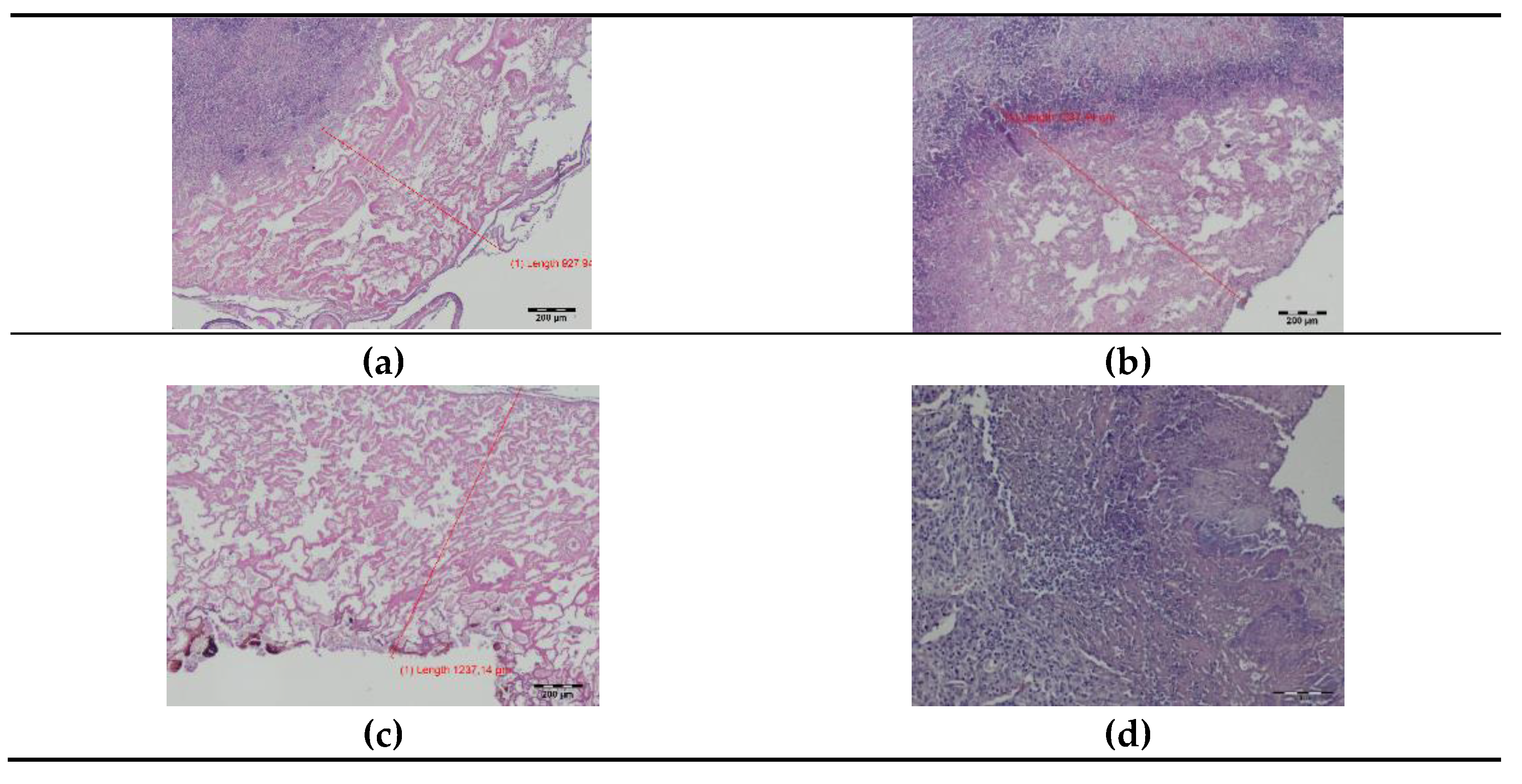 Materials 14 05457 g006a