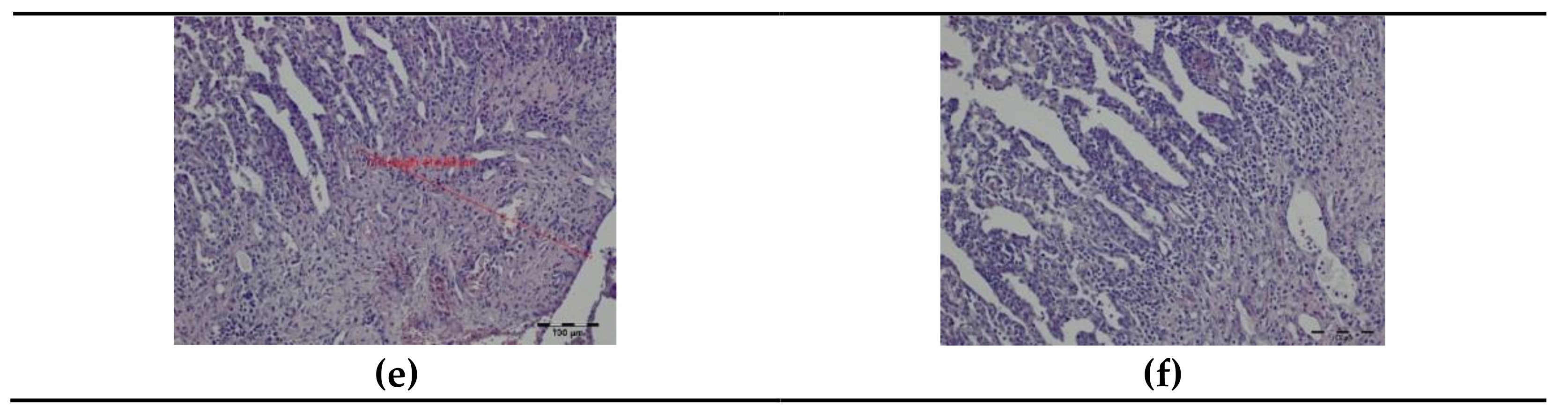 Materials 14 05457 g006b