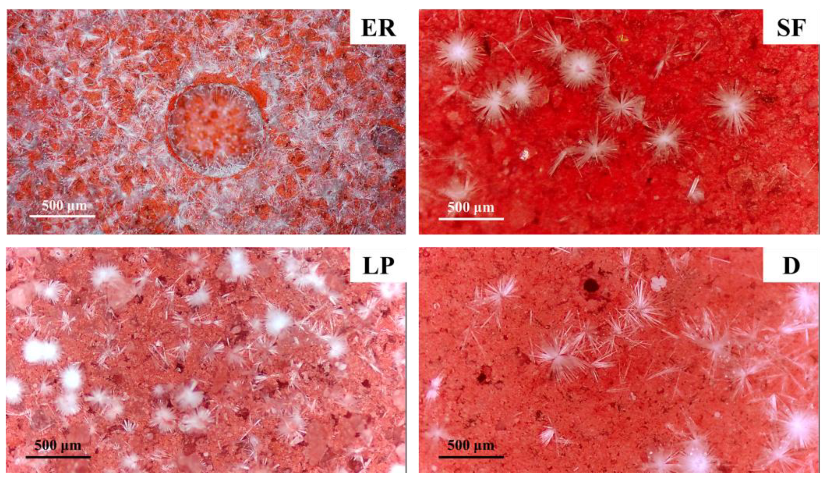 Materials 14 05464 g004