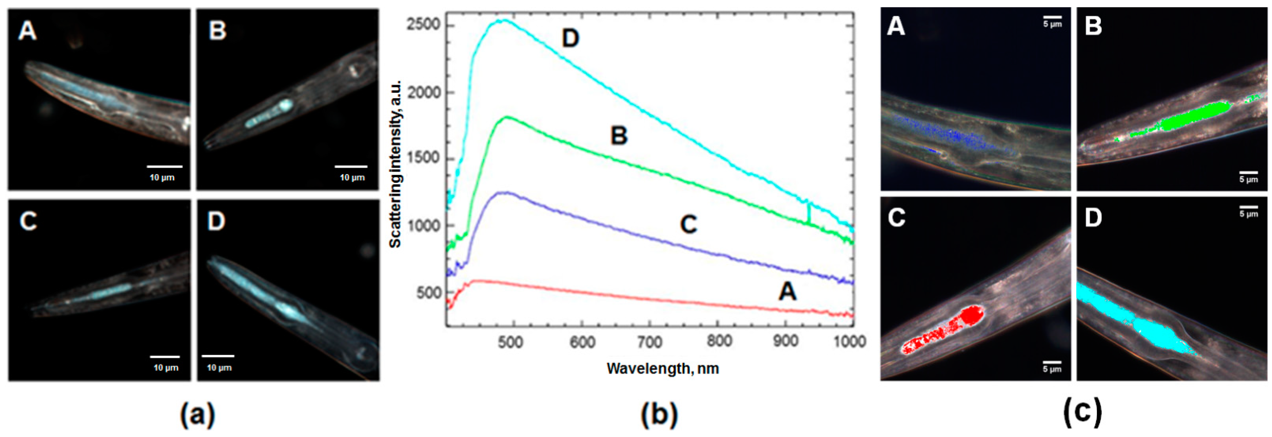 Materials 14 05469 g005