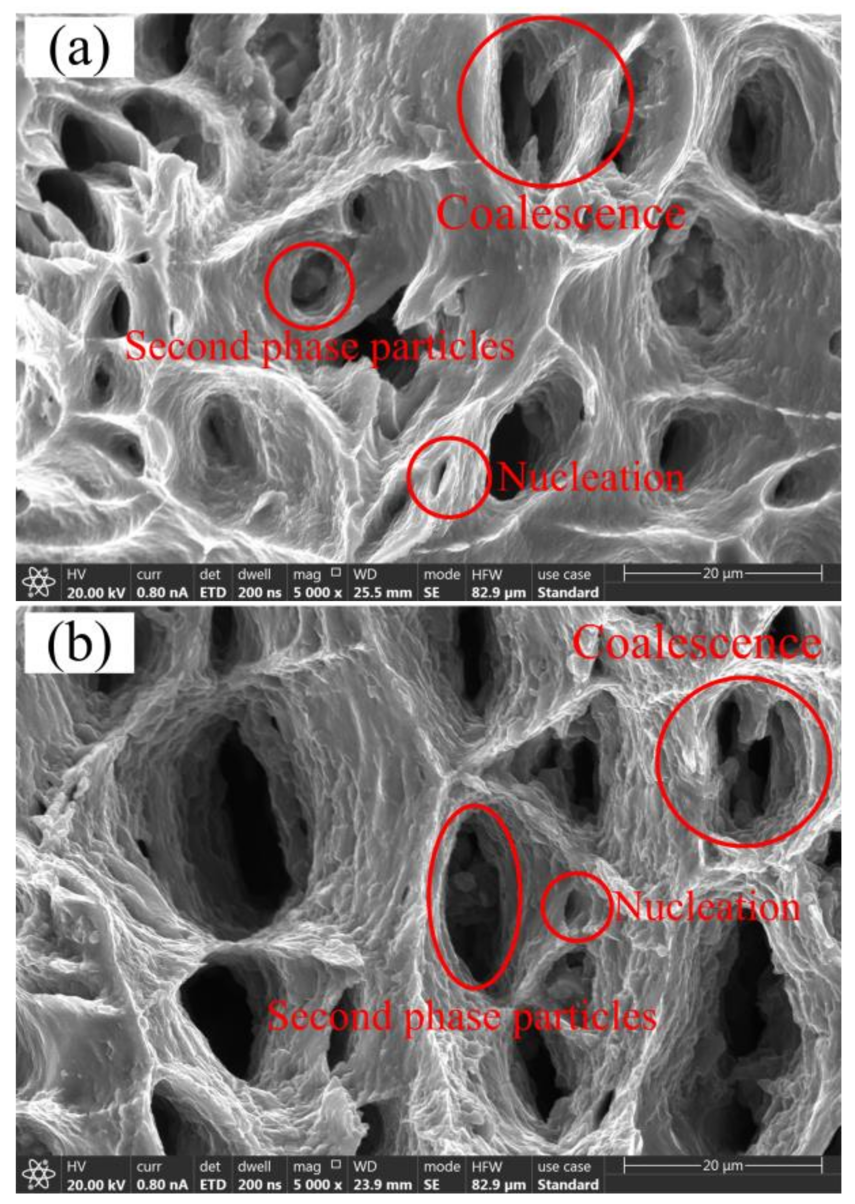 Materials 14 05485 g011