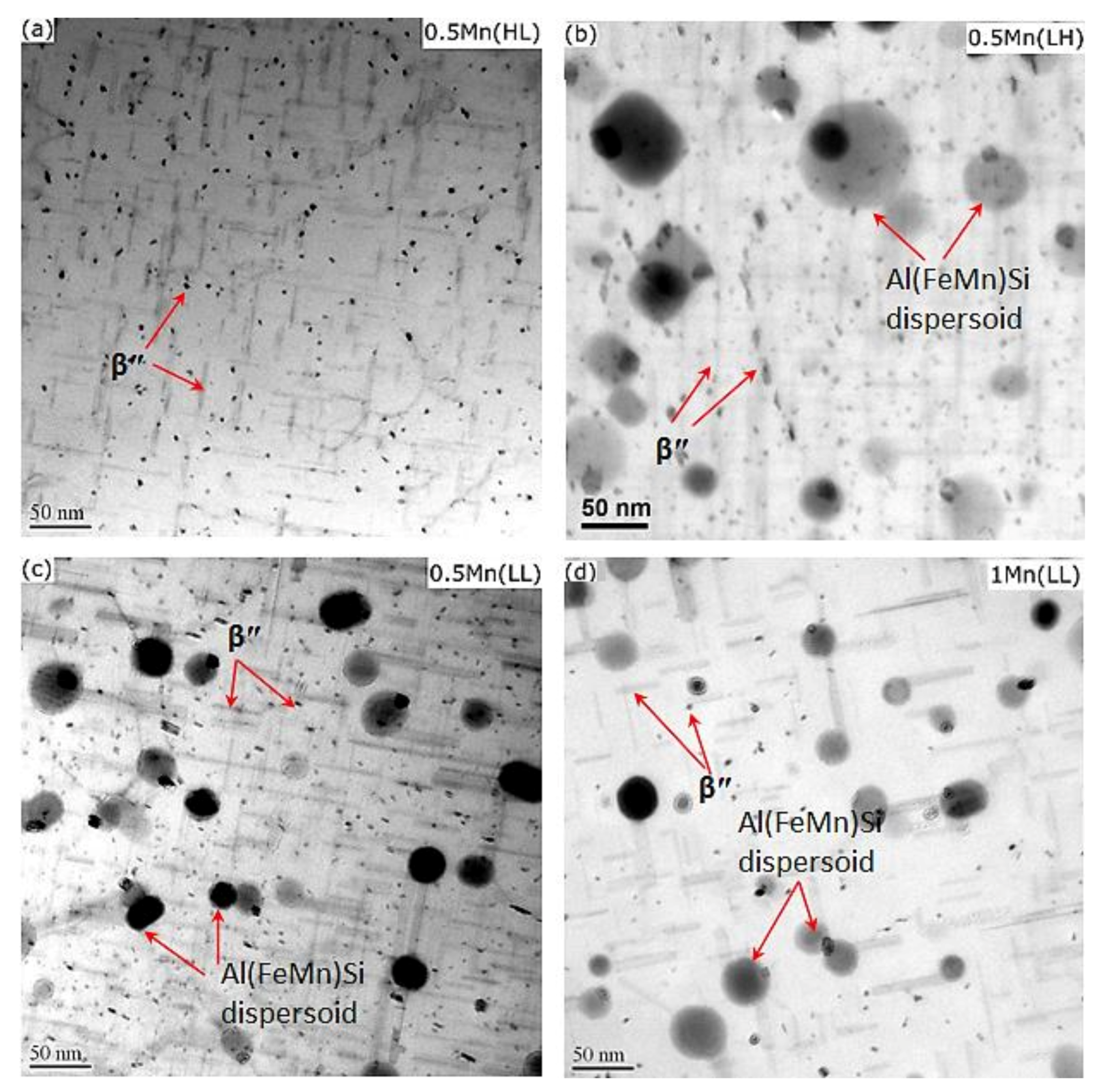 Materials 14 05489 g005