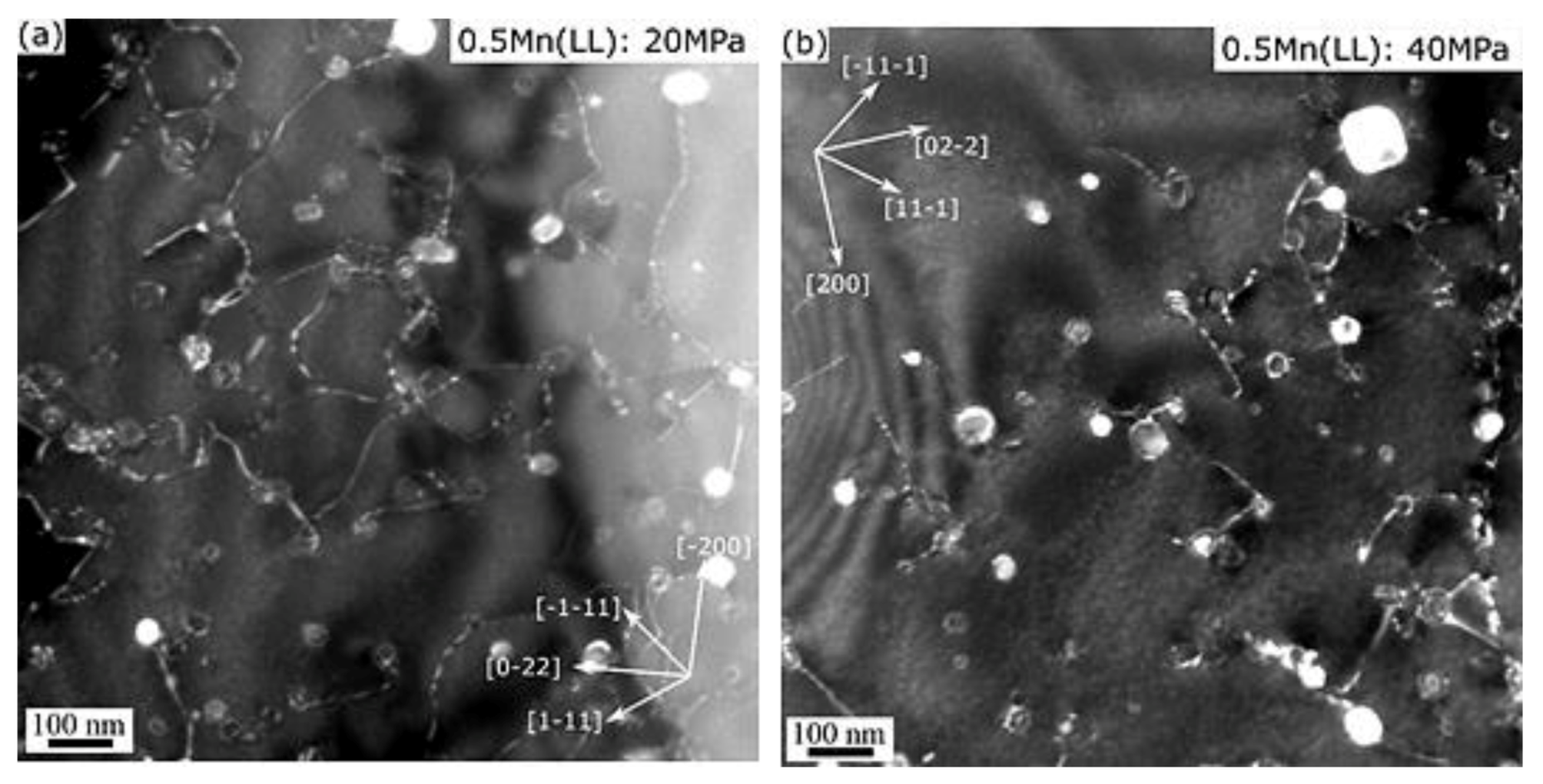 Materials 14 05489 g010