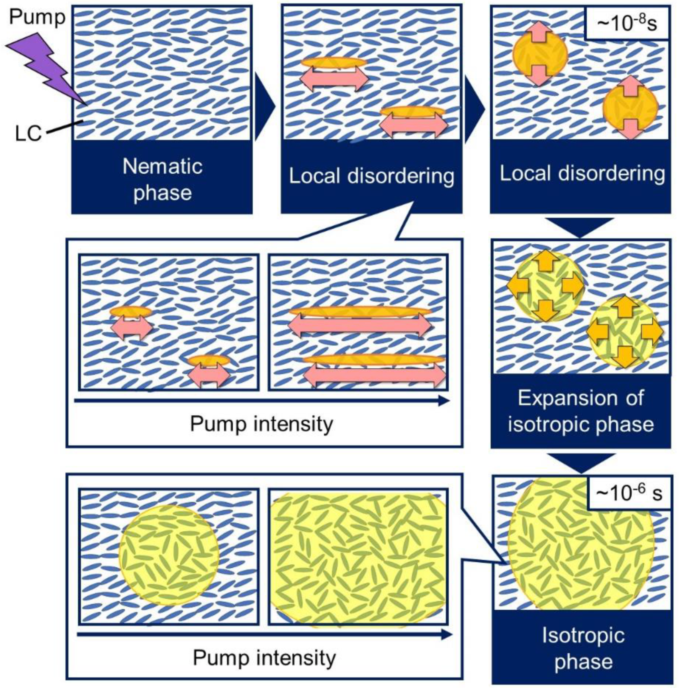 Materials 14 05491 g006