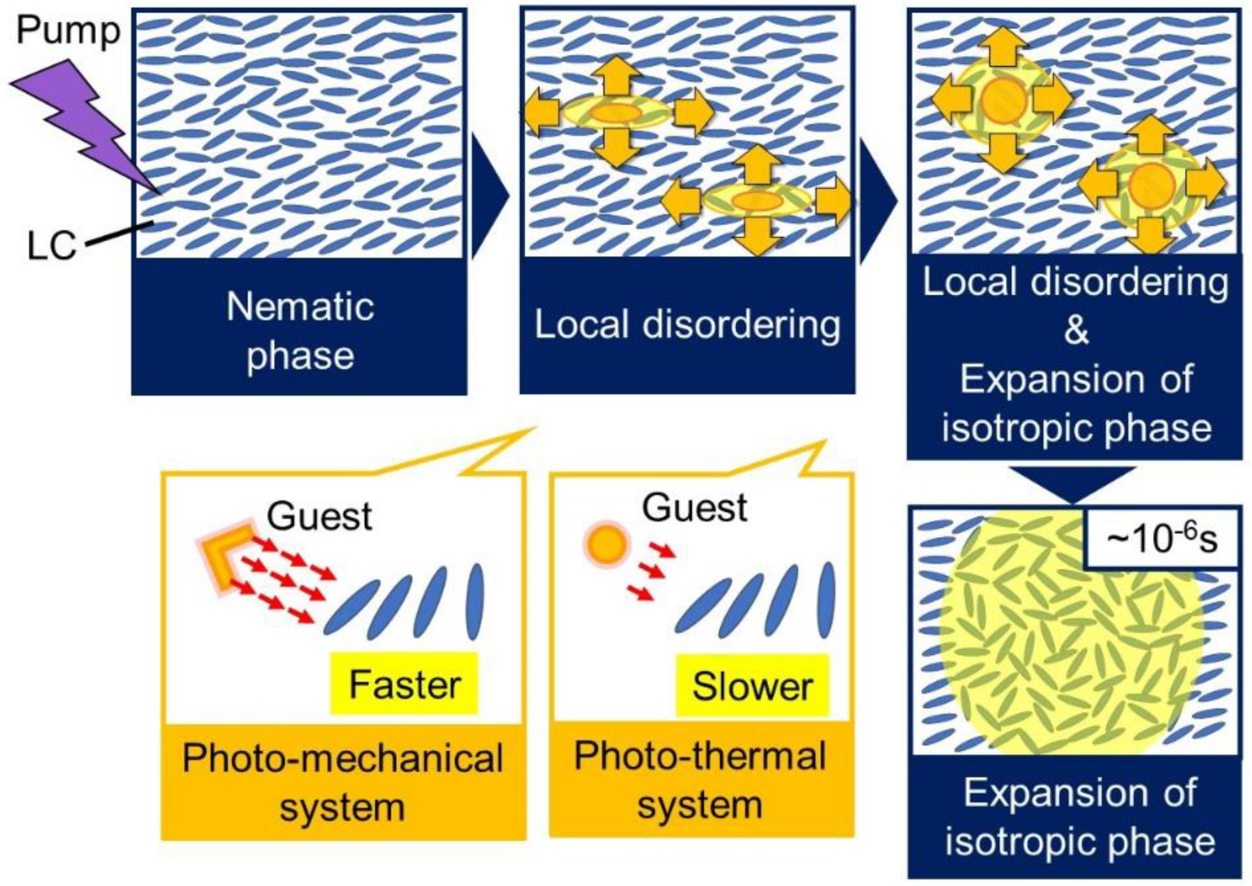 Materials 14 05491 g011