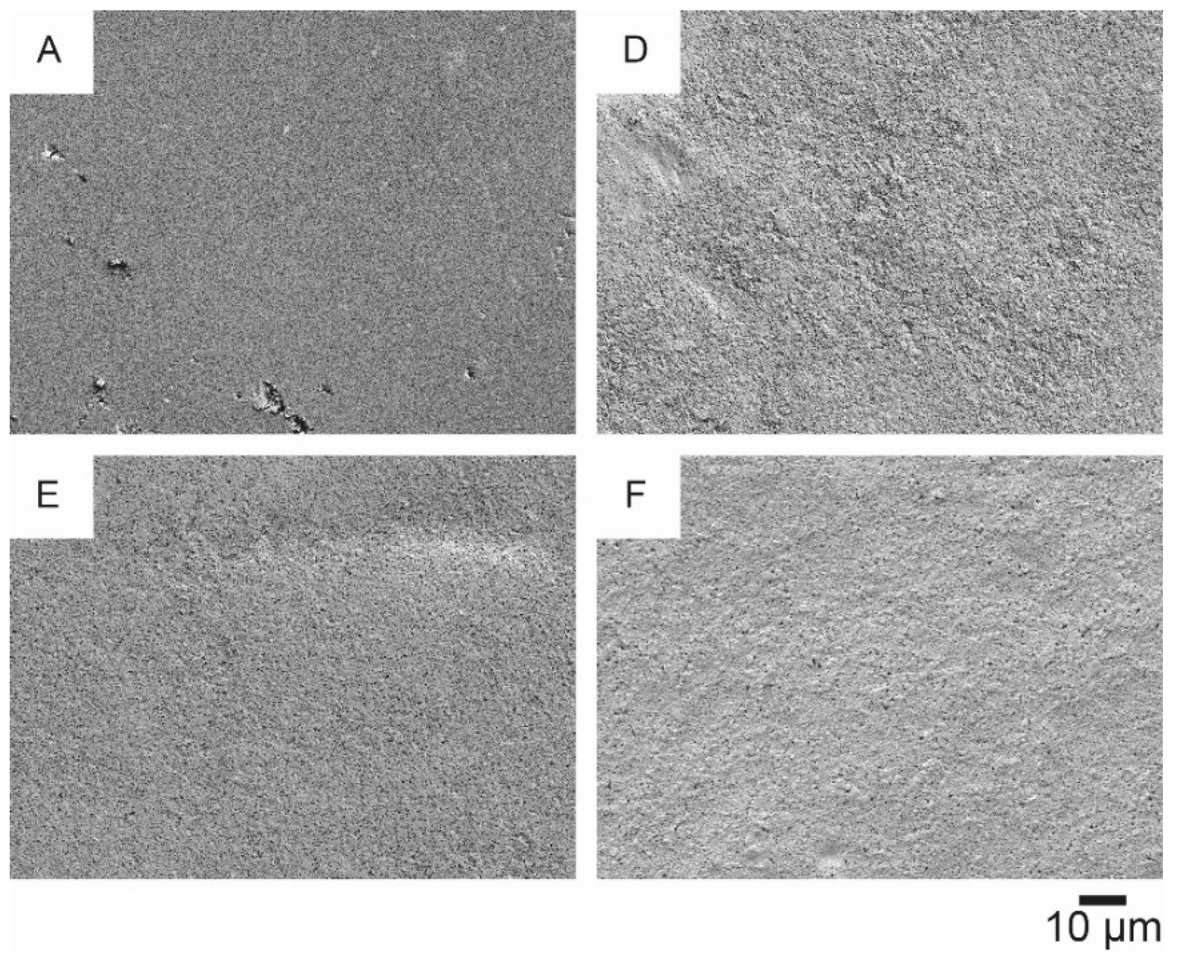 Materials 14 05500 g010