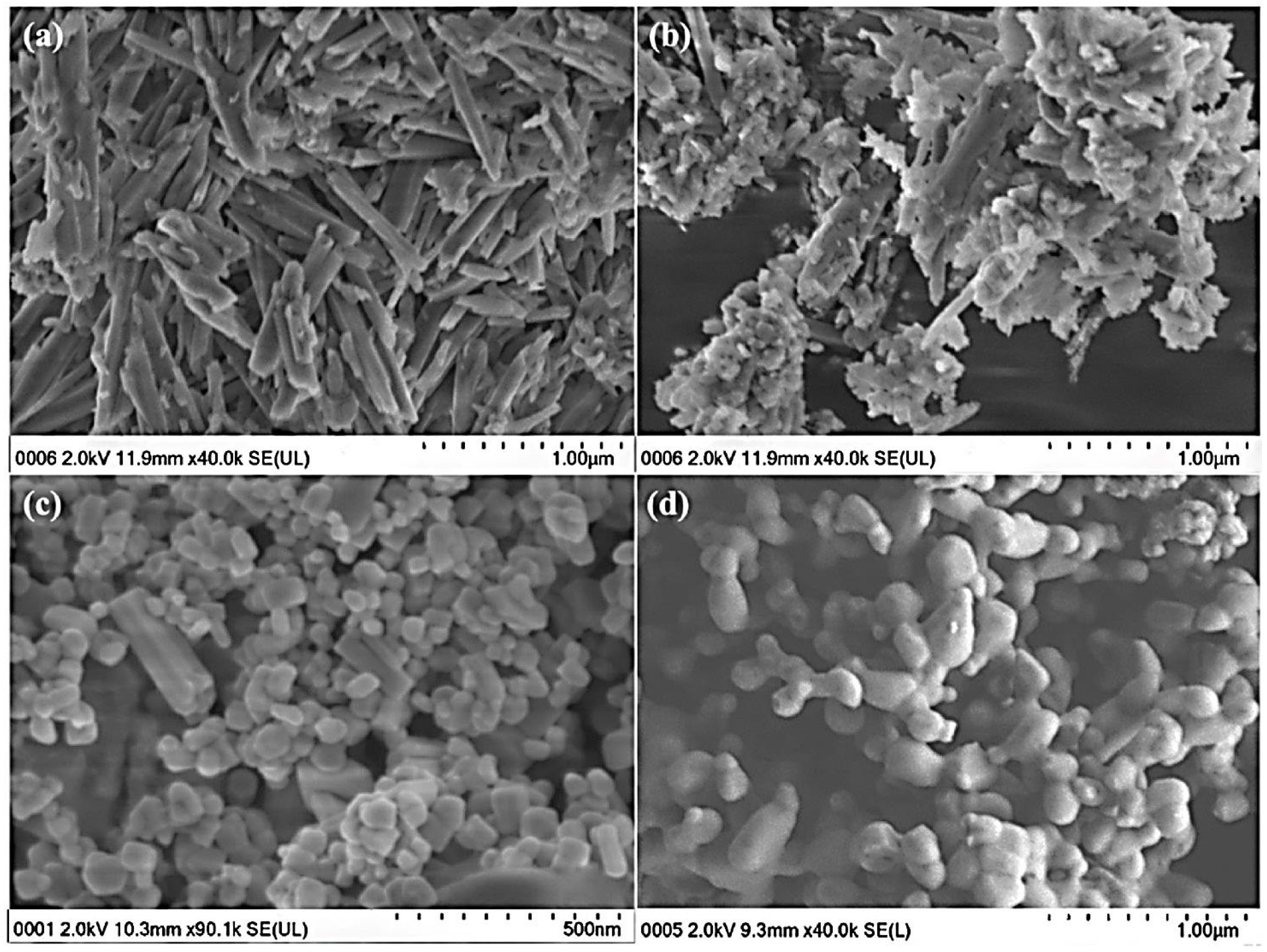 Materials 14 05501 g010