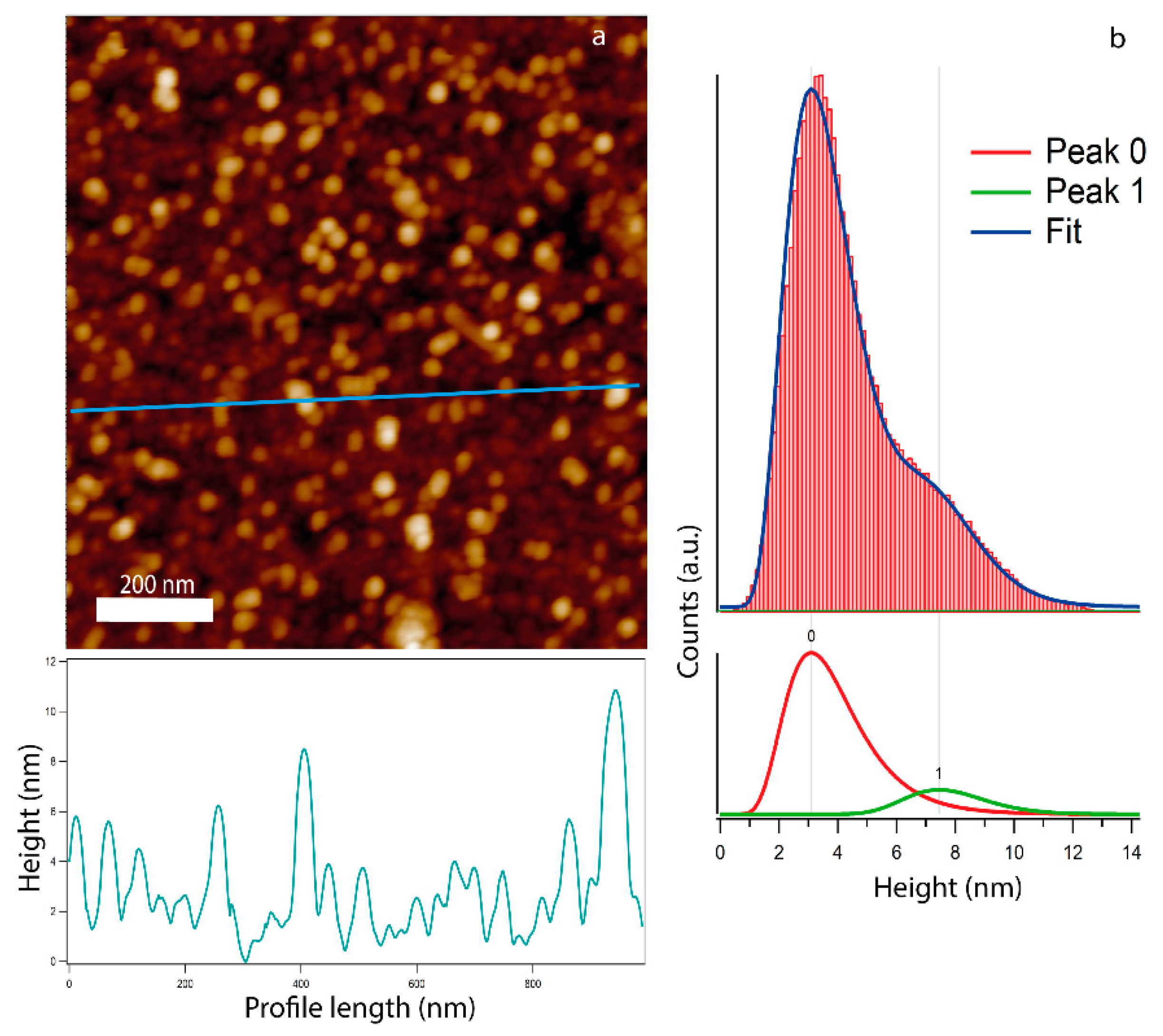 Materials 14 05507 g004
