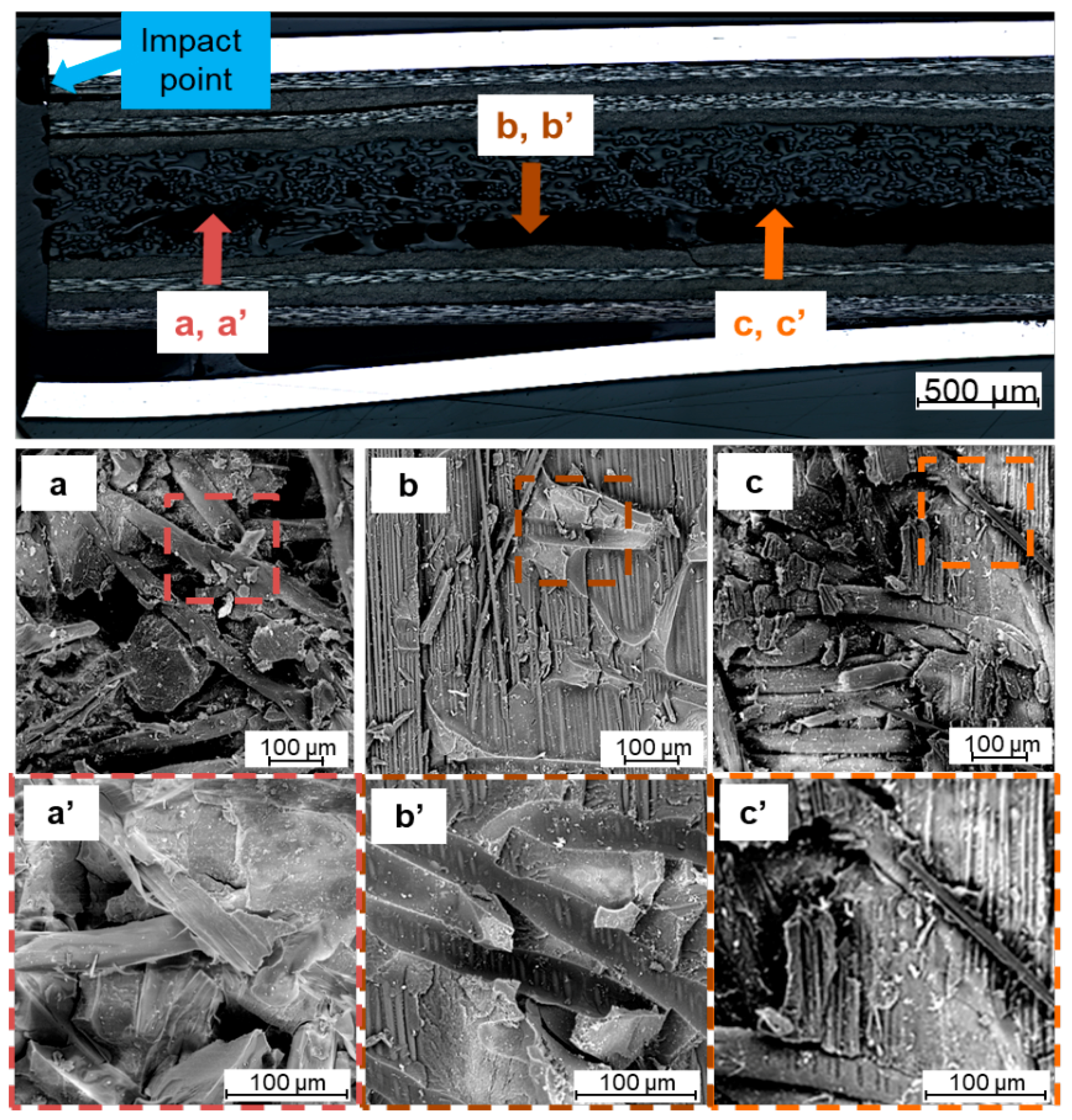 Materials 14 05510 g013