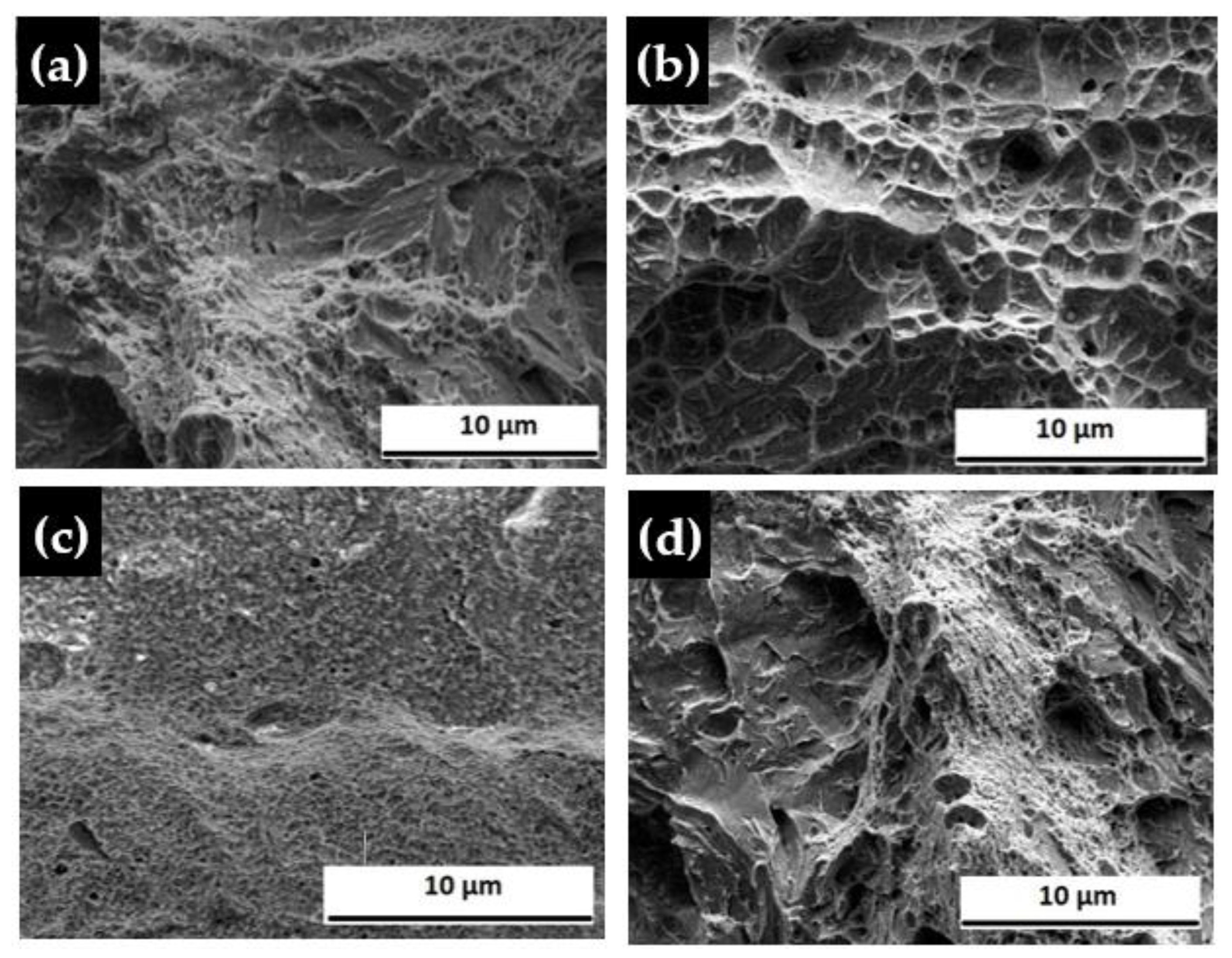 Materials 14 05532 g004