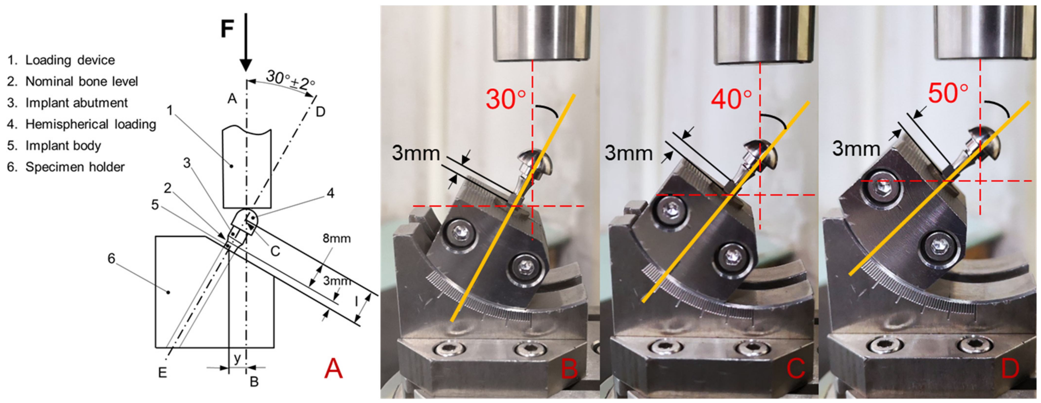 Materials 14 05542 g002