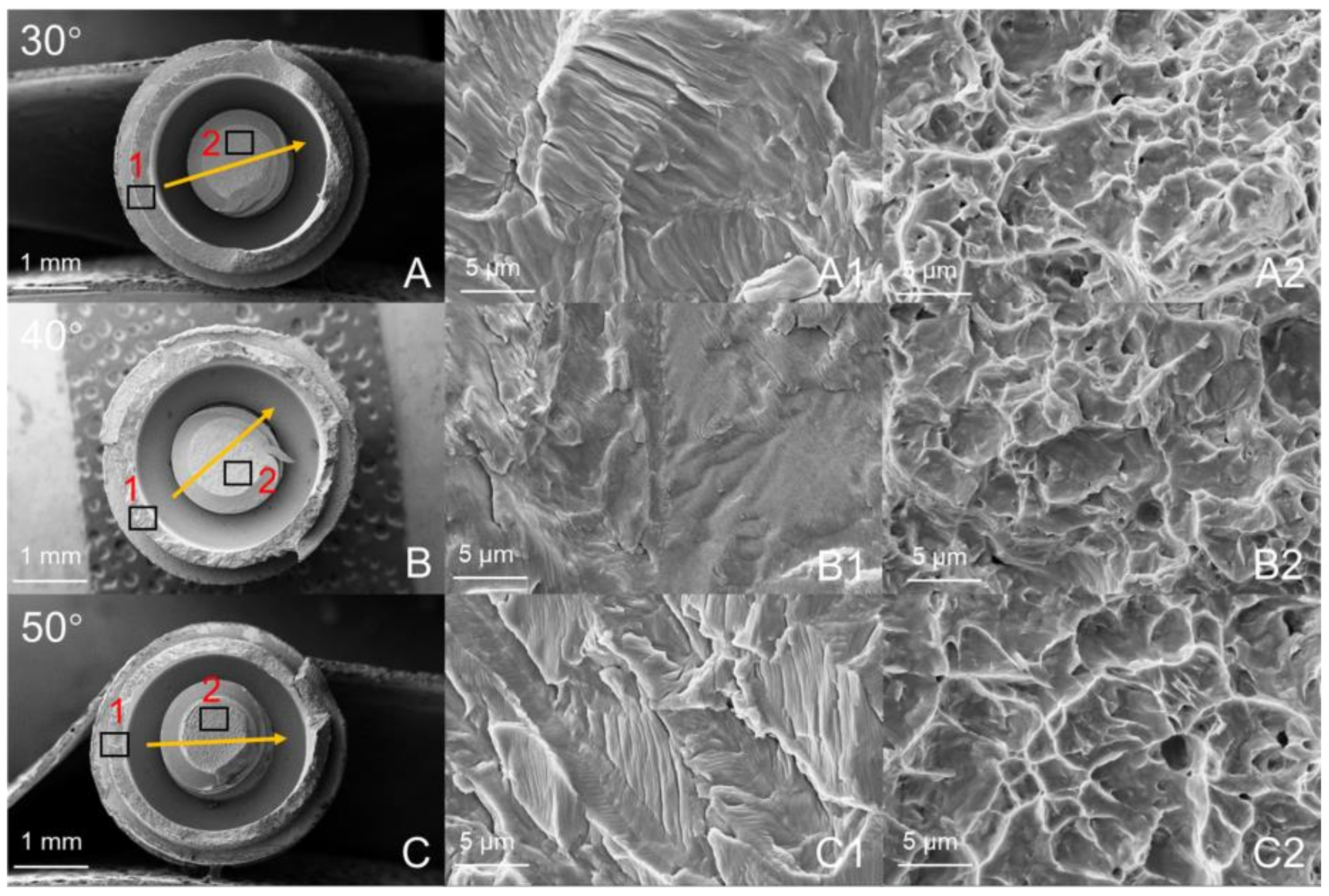 Materials 14 05542 g006