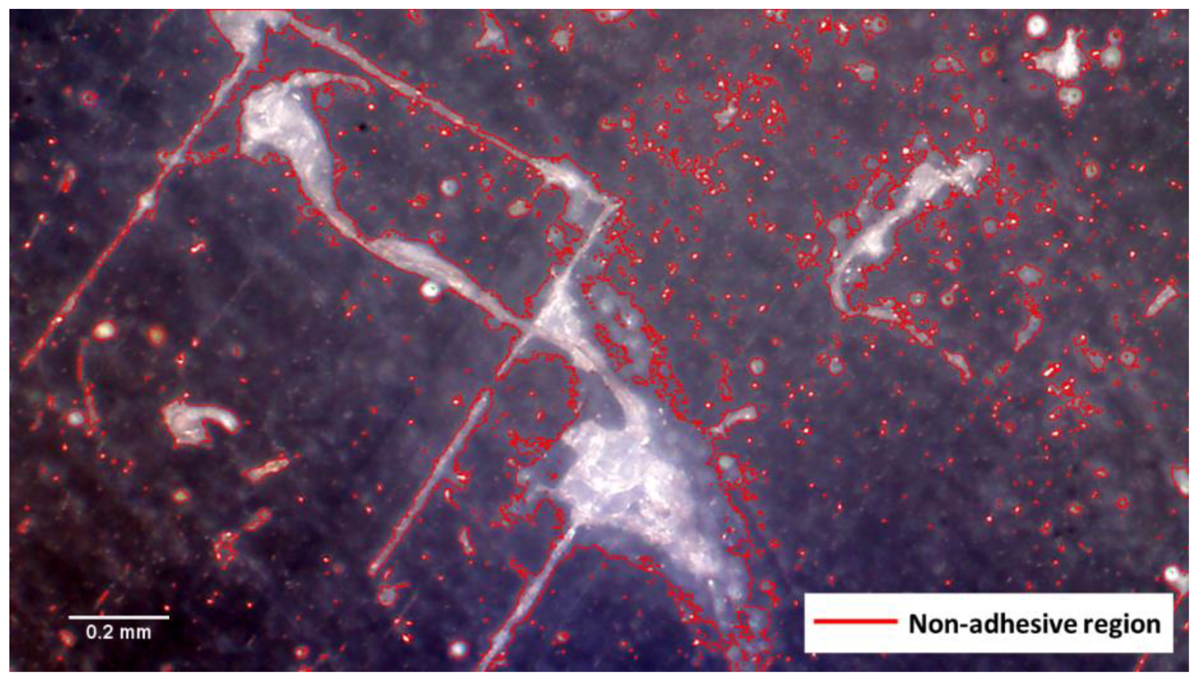 Materials 14 05547 g018