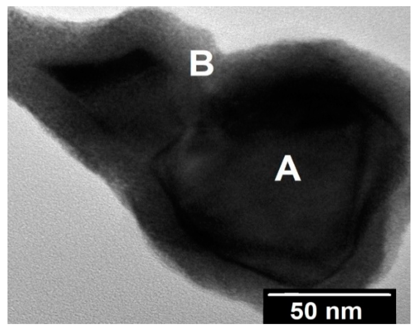 Materials 14 05568 g006