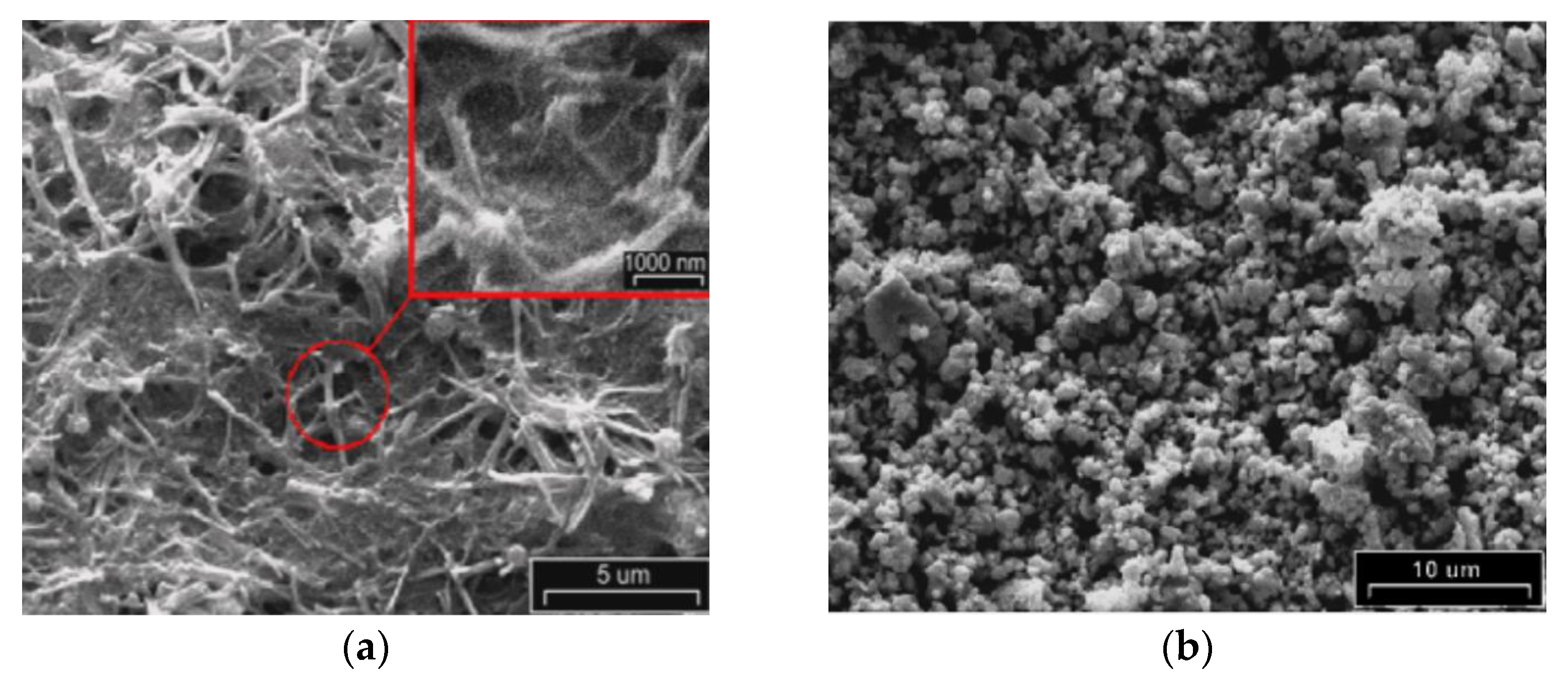 Materials 14 05584 g007 Materials 14 05584 g007