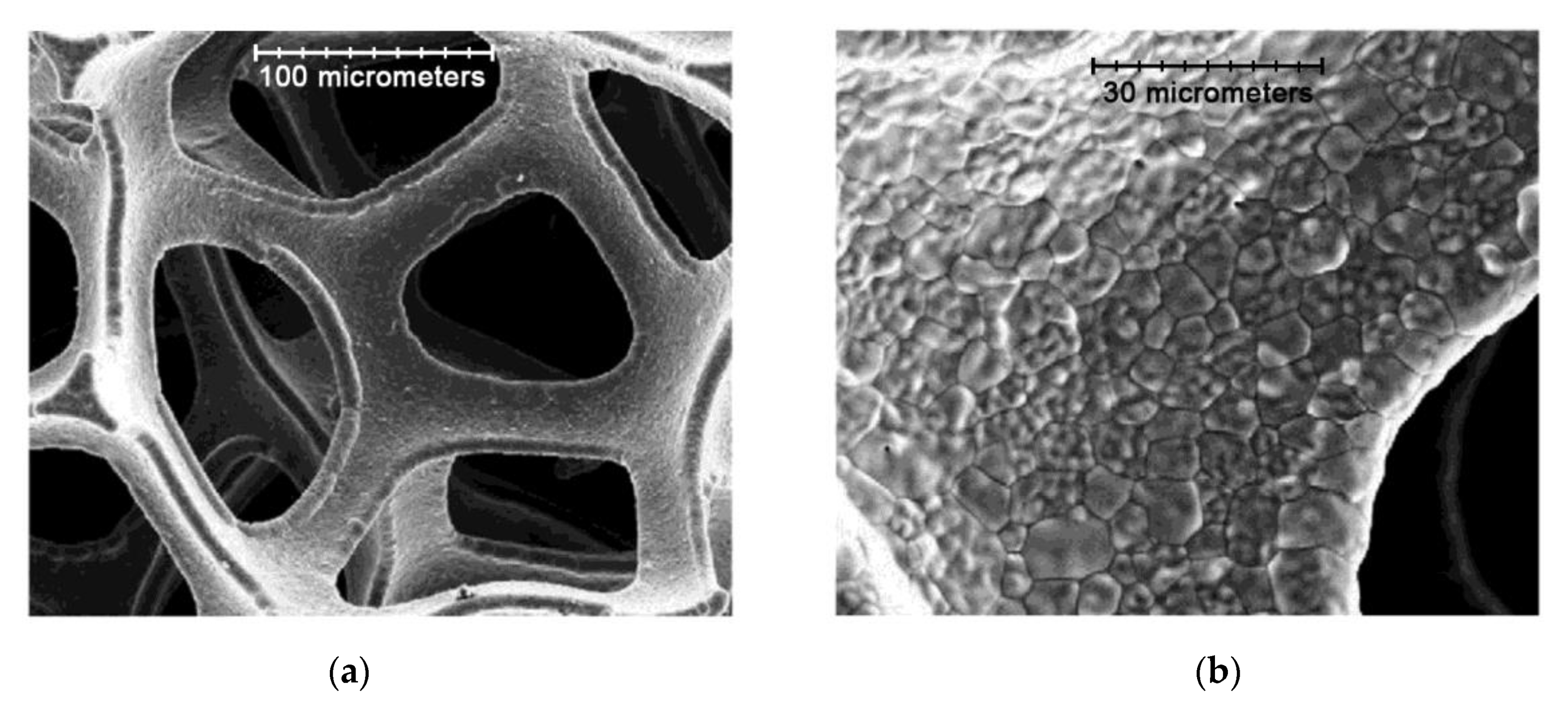 Materials 14 05584 g010 Materials 14 05584 g010