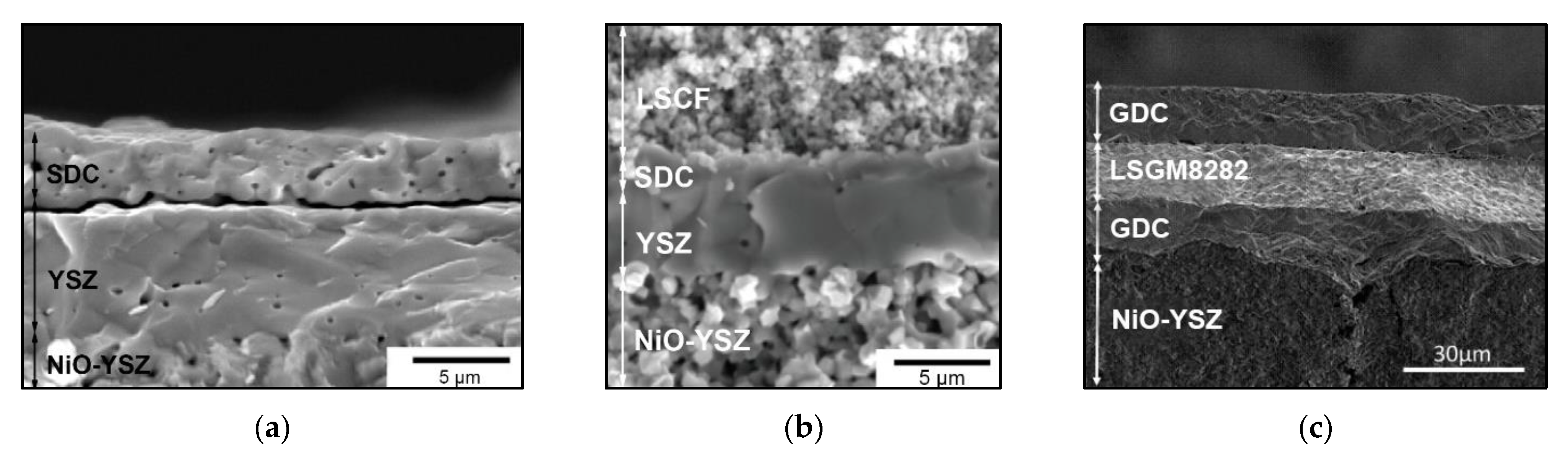 Materials 14 05584 g017 Materials 14 05584 g017
