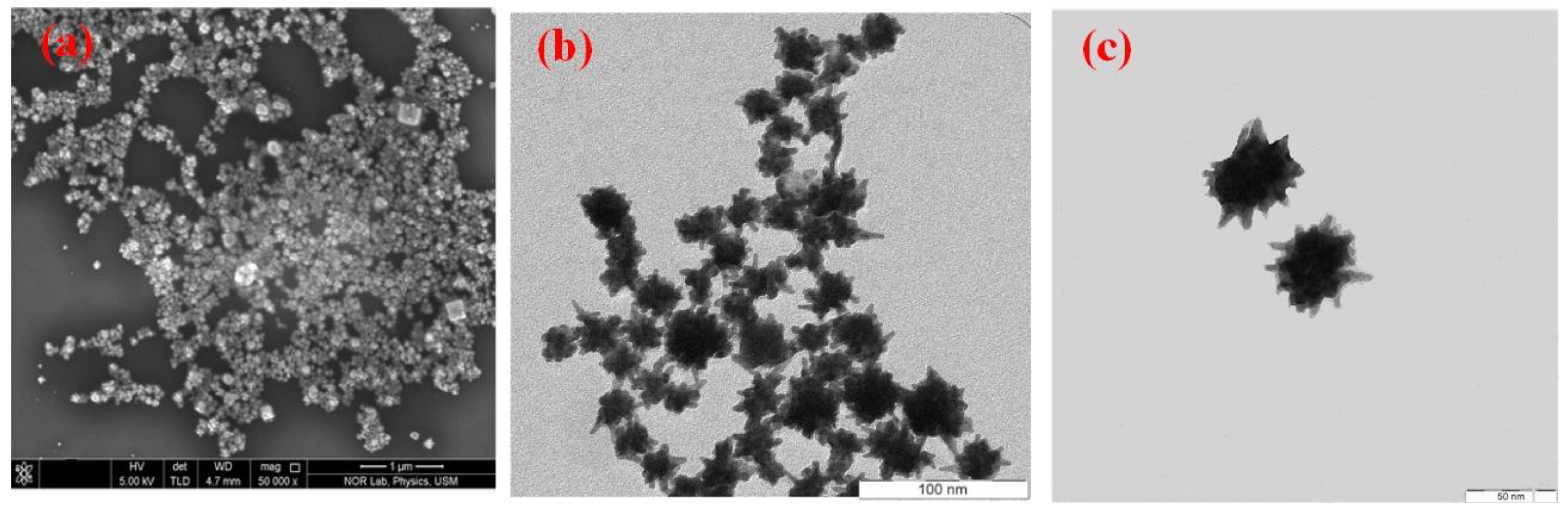 Materials 14 05591 g002