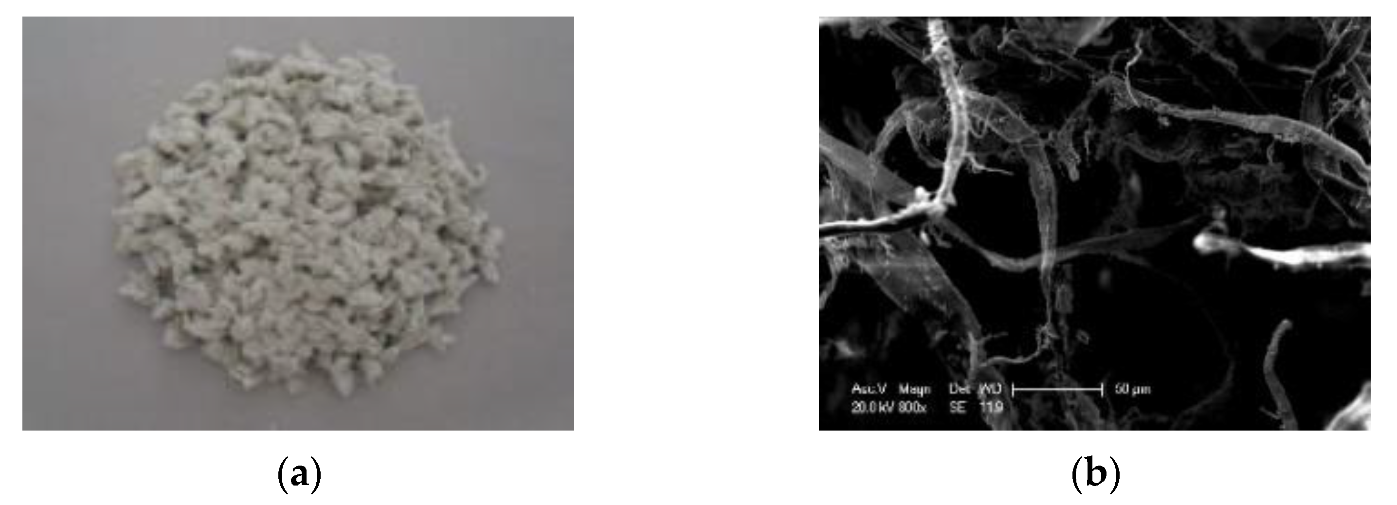 Materials 14 05596 g002