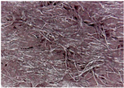 Materials 14 05609 i004