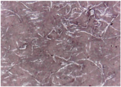 Materials 14 05609 i008