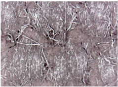 Materials 14 05609 i010